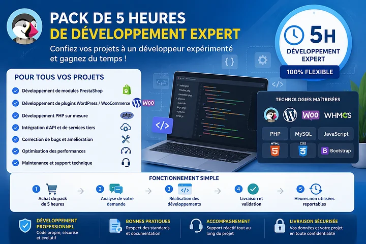 Pack de 5 Heures de Développement Expert product image (1)