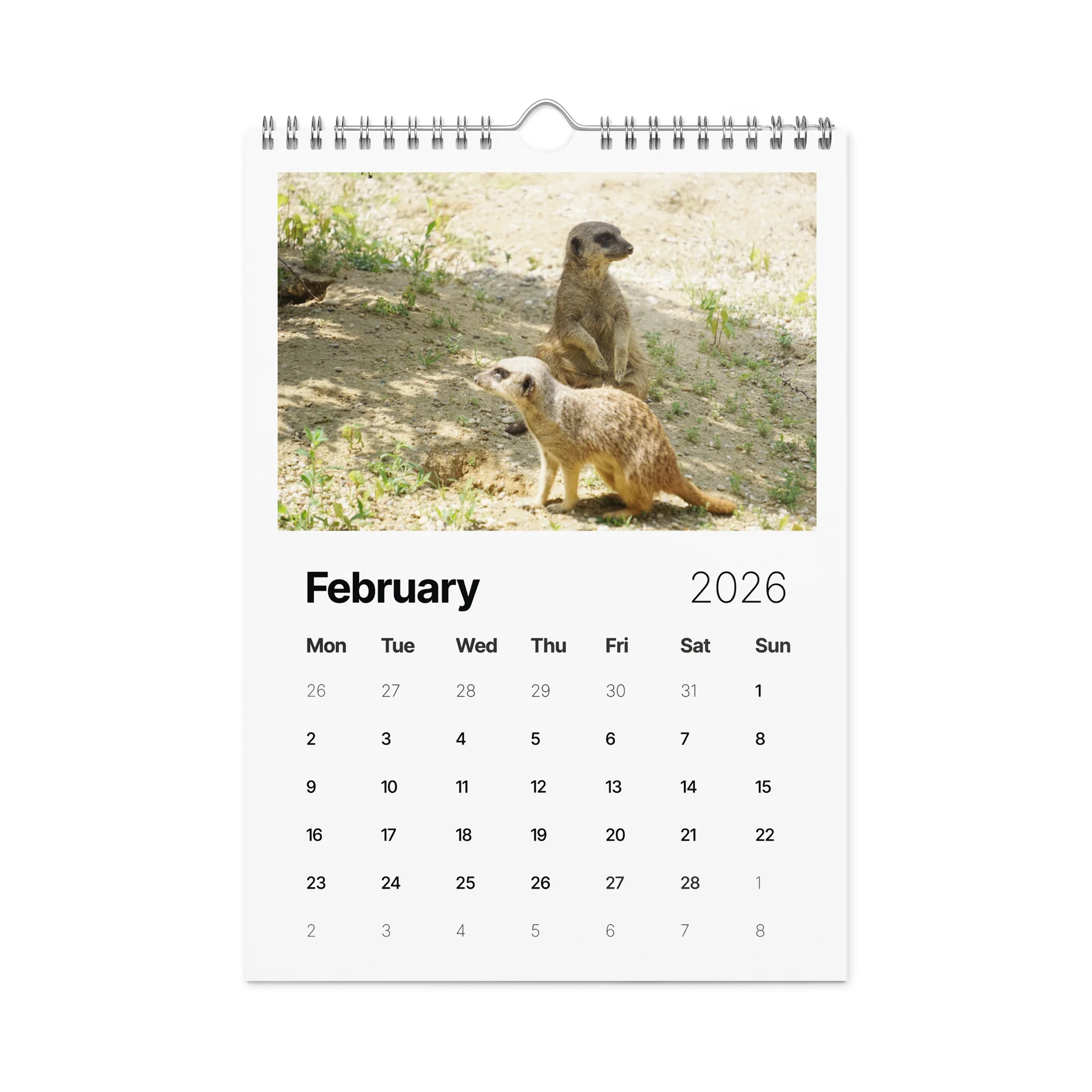 One Year, Twelve Animals: ESE 2026 Wall Calendar product image (5)