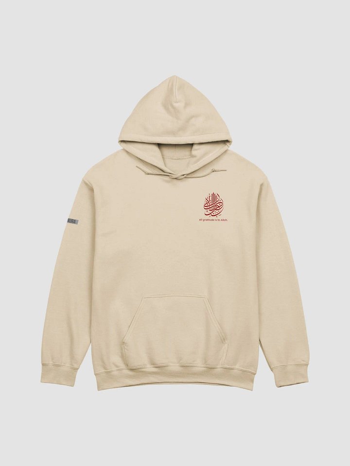 ZENURA Bold Classic Hoodie product image (1)