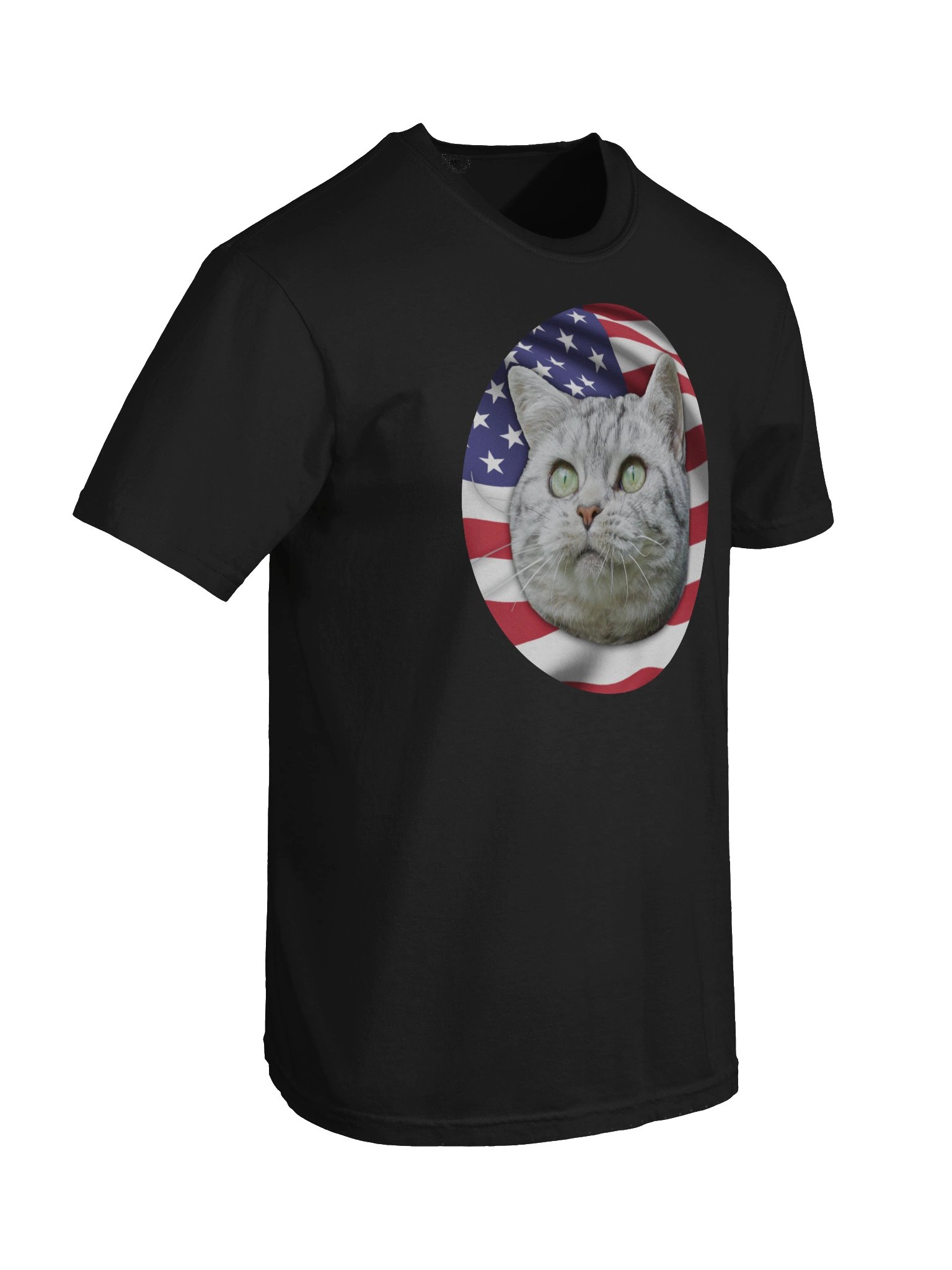 PATRIOTIC CAT LOGO (Heavyweight shirt) product image (8)