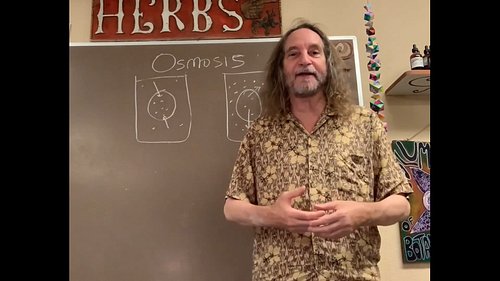 Physiology for the Herbalist
Taught by Howie Brounstein

Available online on Zoom or 