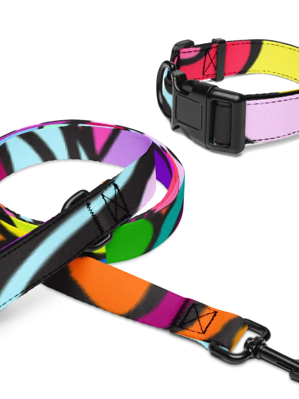 Vibrant Stripes Pet Collar & Leash Set - Wave at Sunset product image (8)