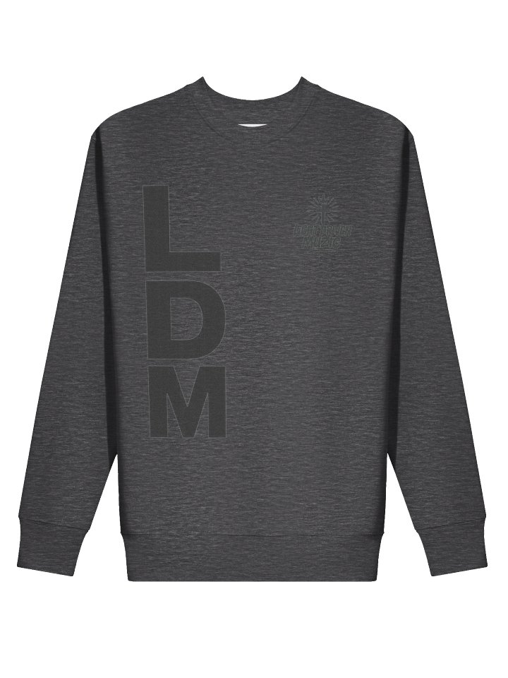 Light Driven Muzic Premium Sweatshirt product image (15)