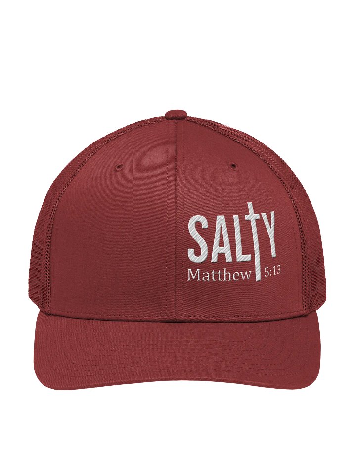 Salty Snapback product image (2)