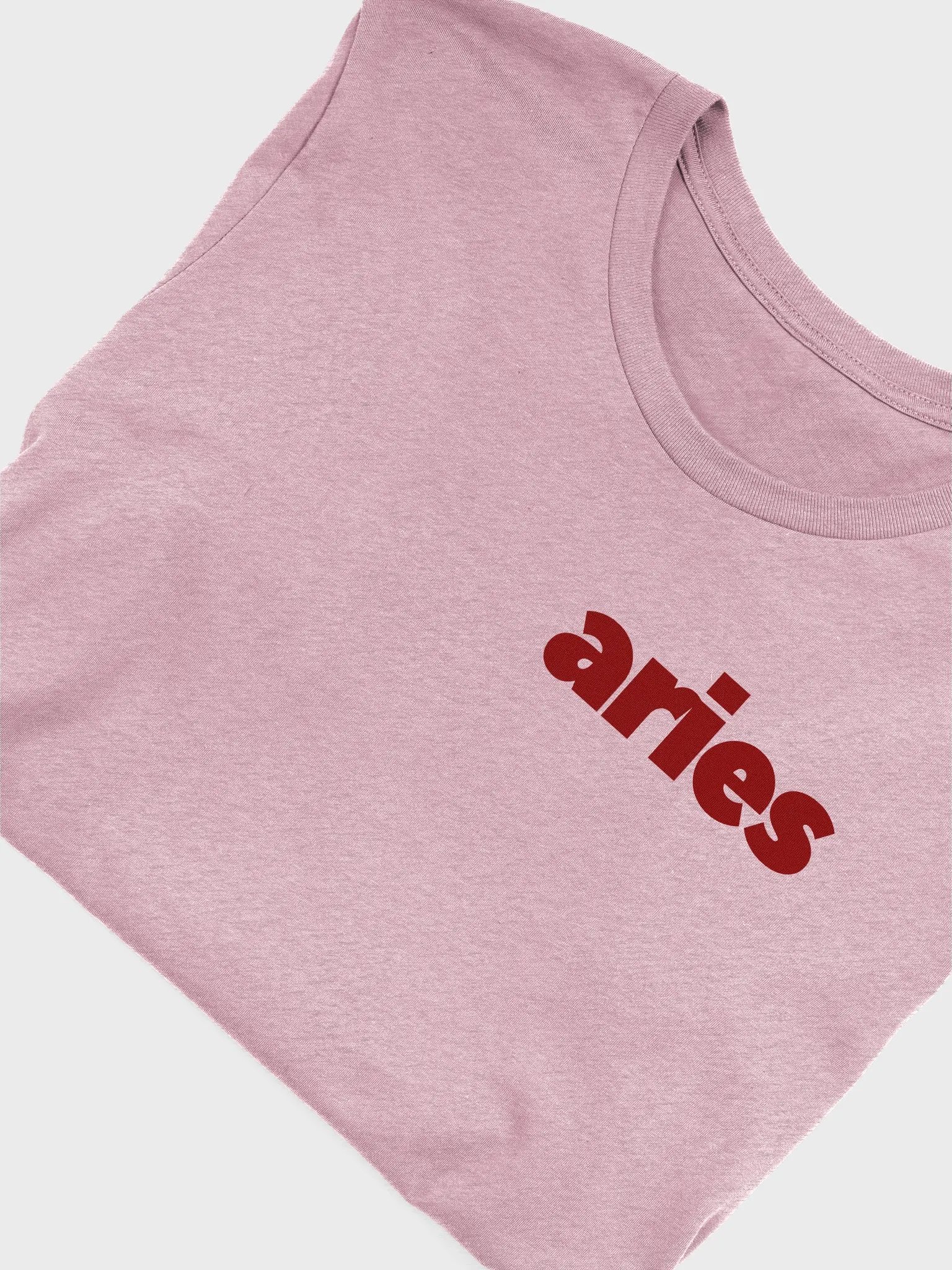 ARIES Tee product image (1)