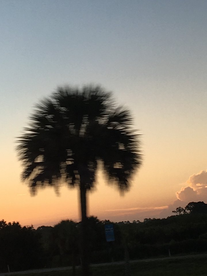 Digital Sunsets product image (2)