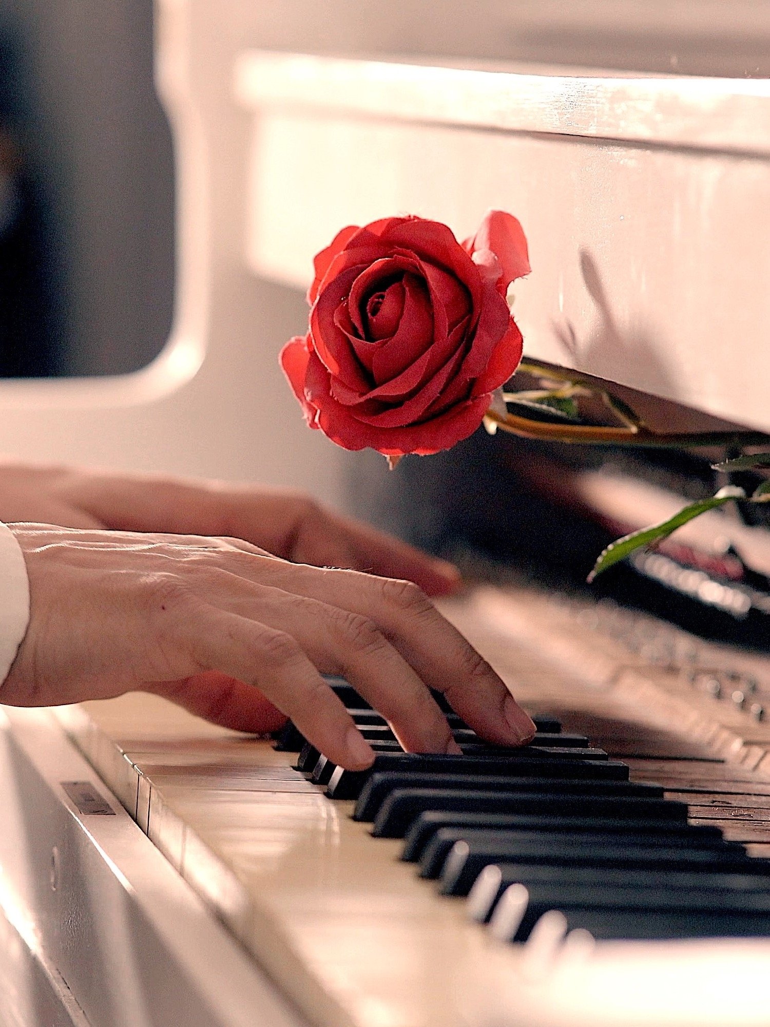 The Rose of Romance (Piano Score) product image (2)