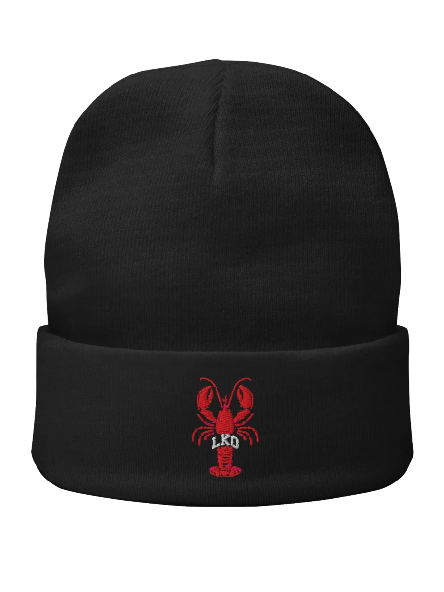 Stitched Beanie product image (1)