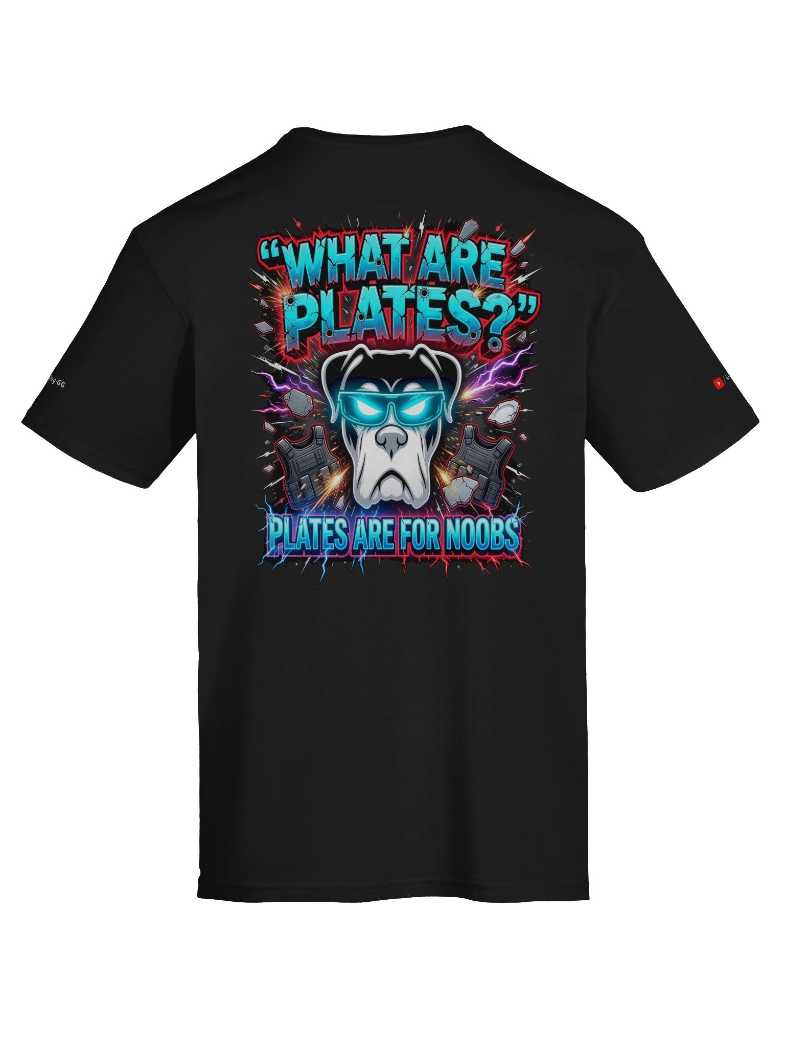 What are plates? Plates are for noobs product image (7)