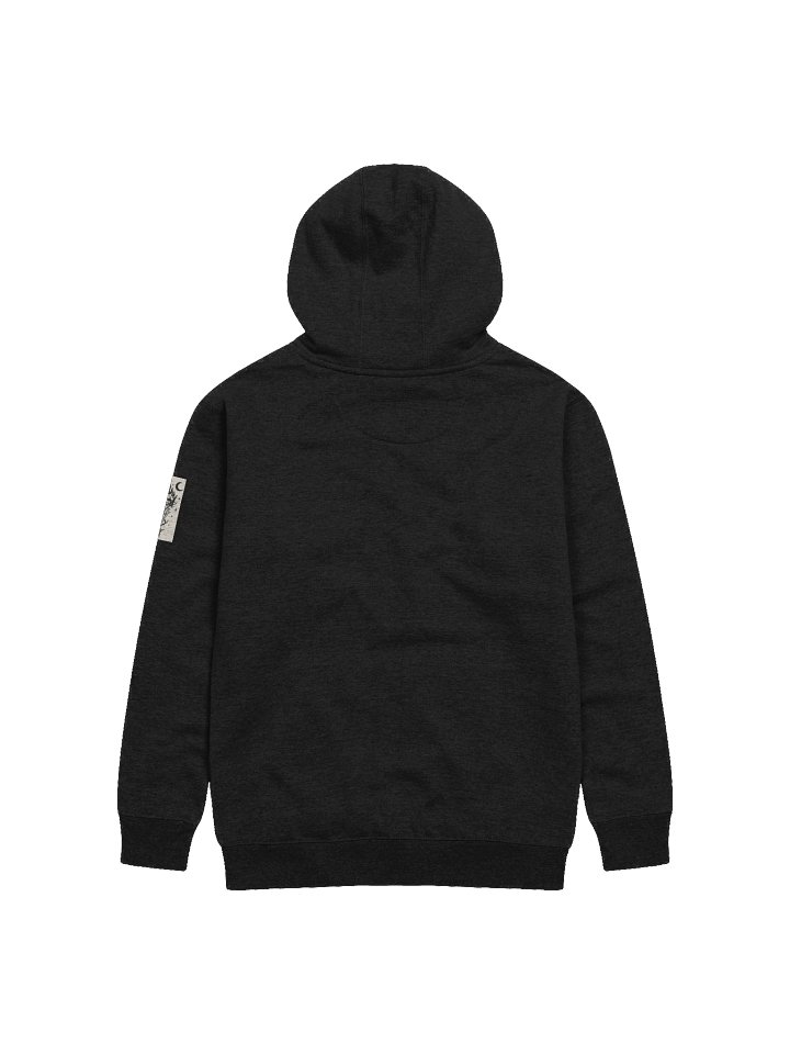 TMAS Hoodie product image (2)