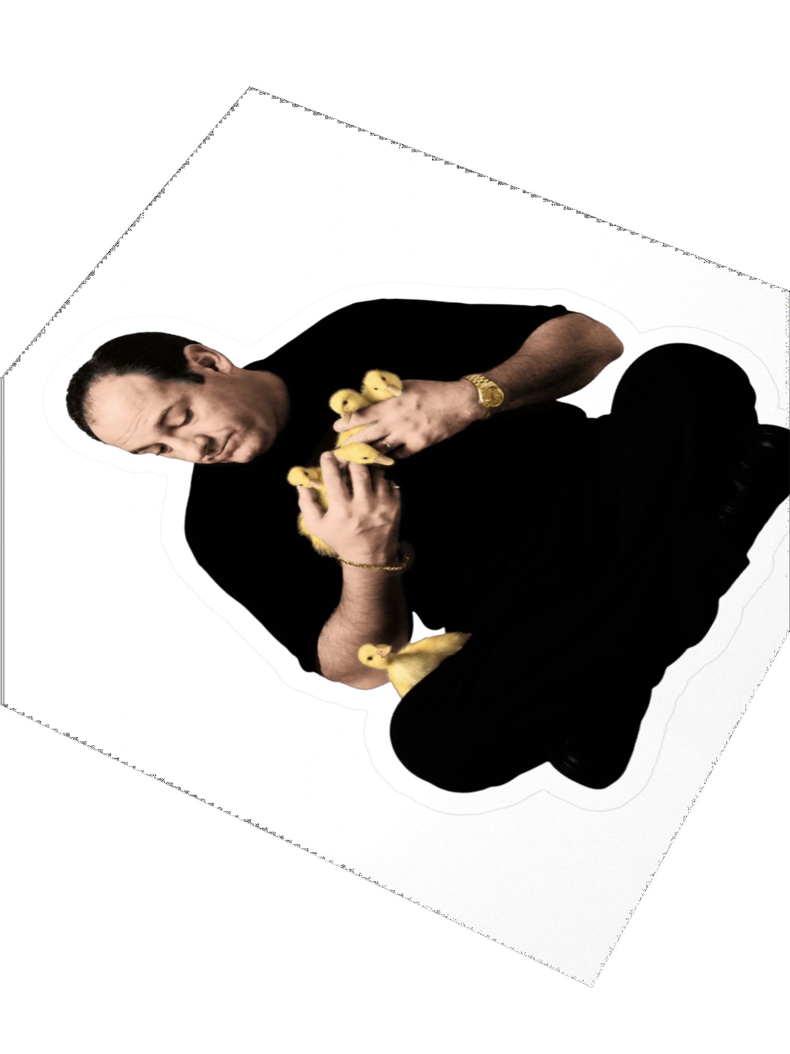 Tony & the Ducks — Vinyl Sticker product image (8)