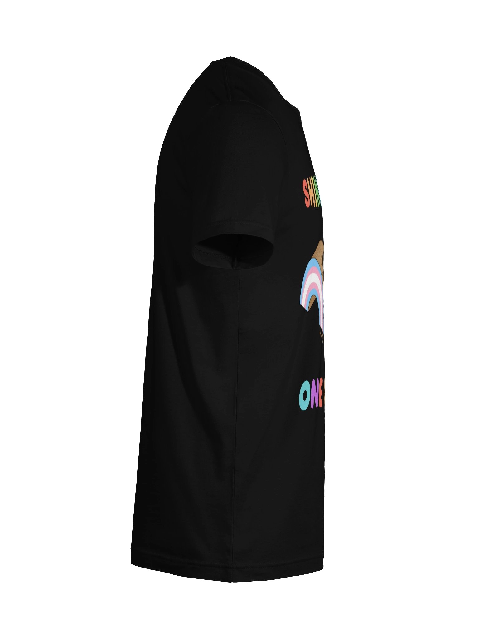 Shine Bright Trans Pride Shirt product image (126)