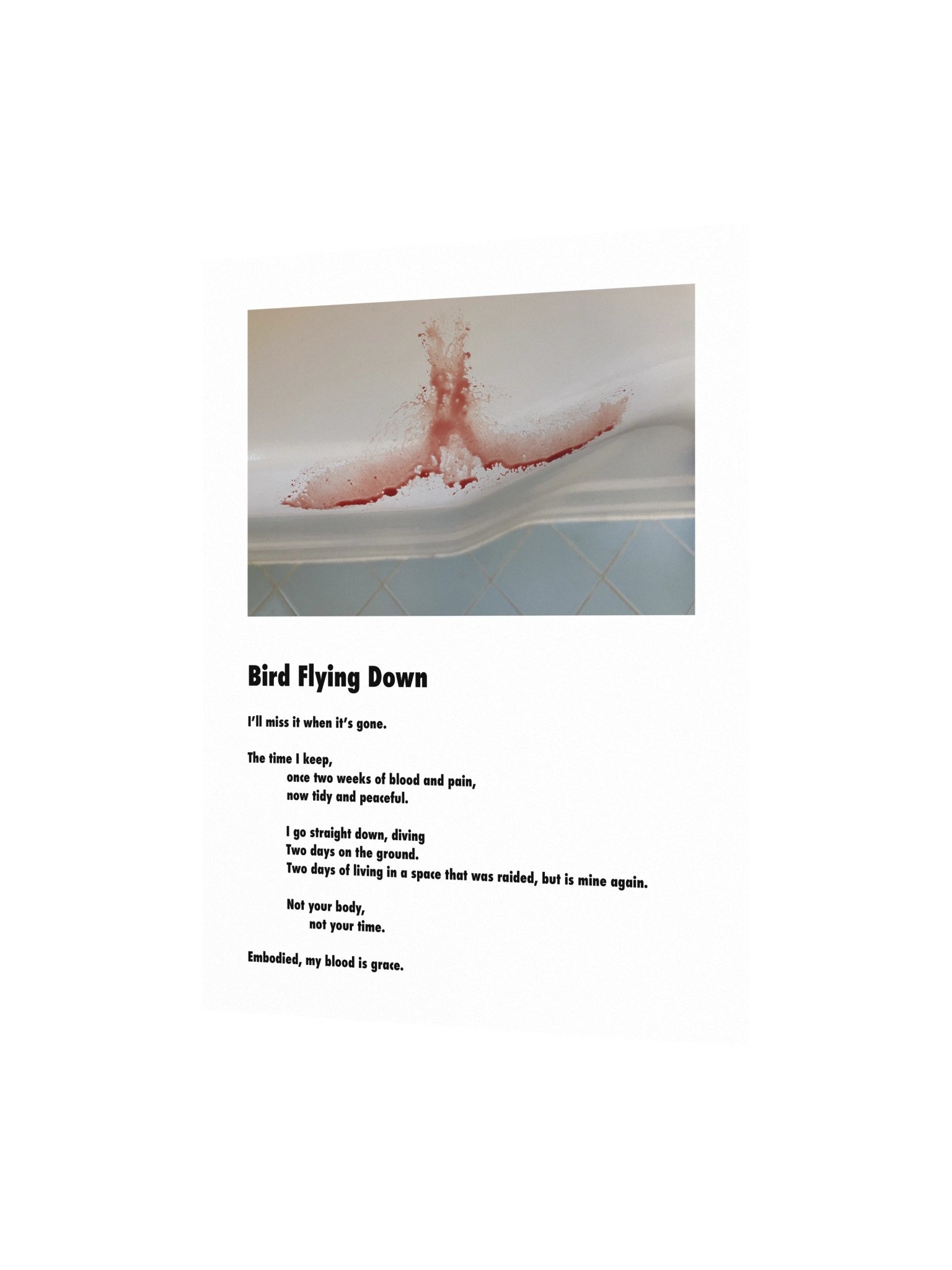 Bird Flying Down Poster product image (2)