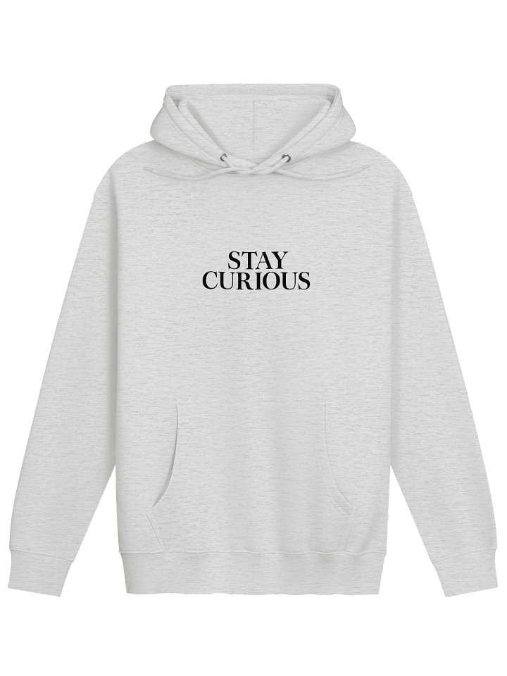 Stay Curious Premium Hoodie | Motivational Quote Sweatshirt | Lane Seven Pullover | Inspirational Typography product image (2)