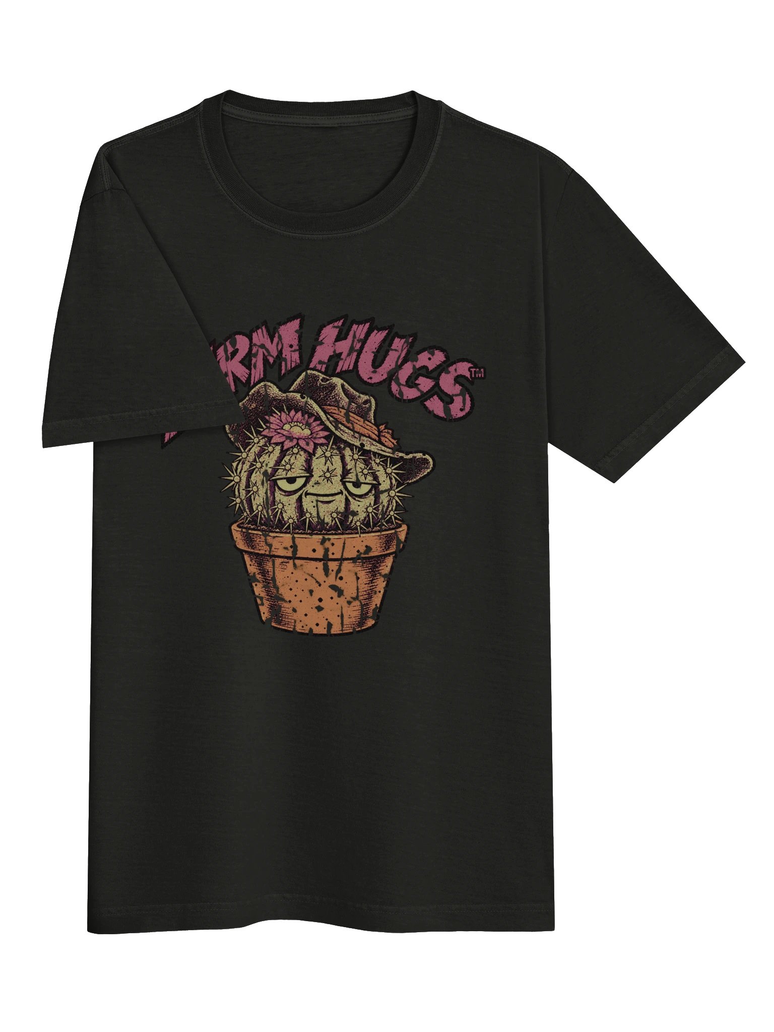 Distressed Cactus product image (9)