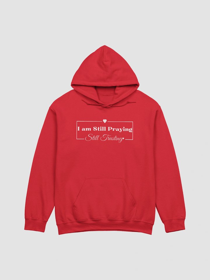 I am Still Praying, Still Trusting Gildan Hoodie. product image (2)