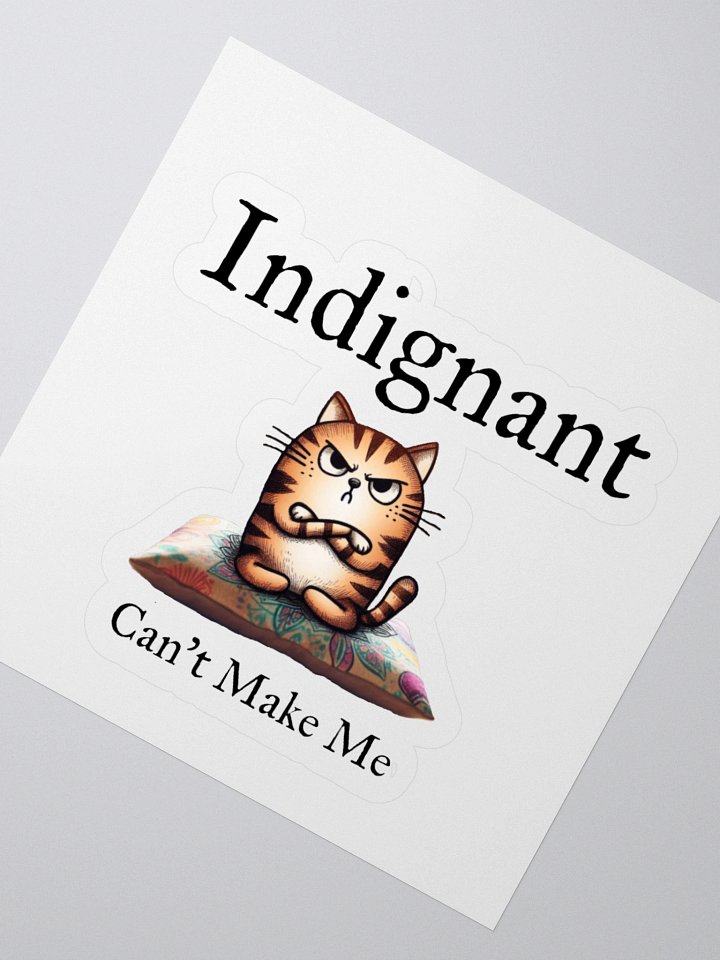Indignant sticker! product image (7)
