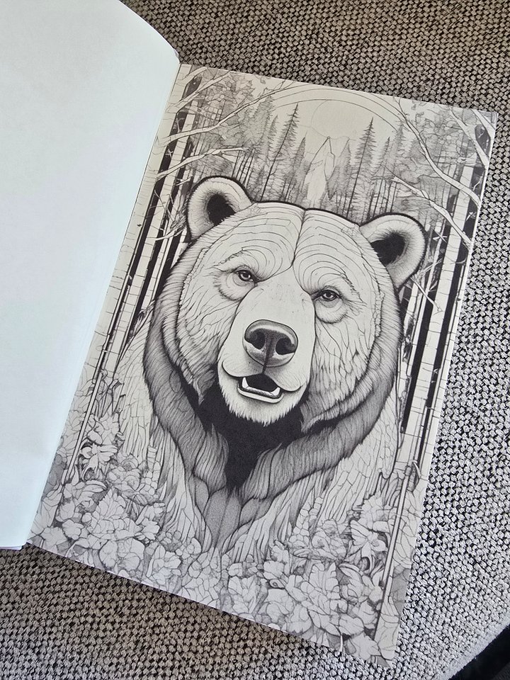 Savage North Creator Chronicles (Special Edition - Imperfect) product image (2)