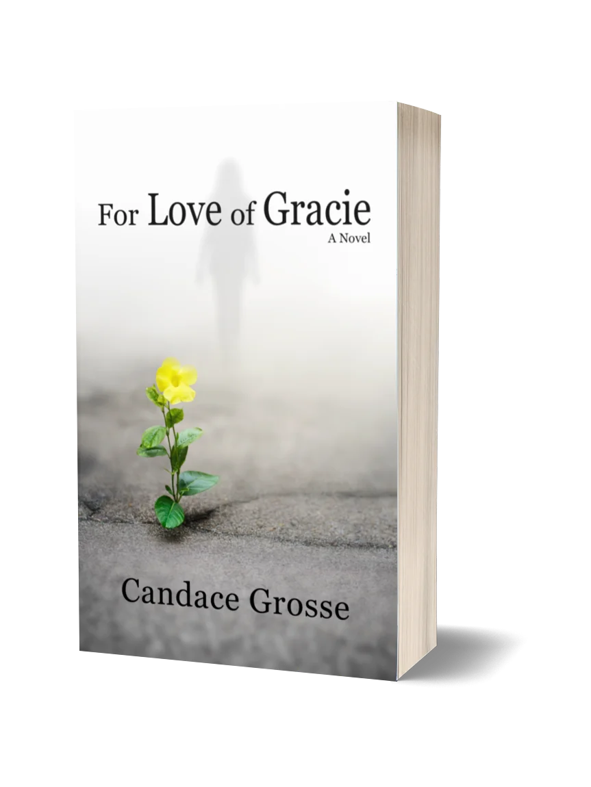 For Love of Gracie: A Novel product image (1)