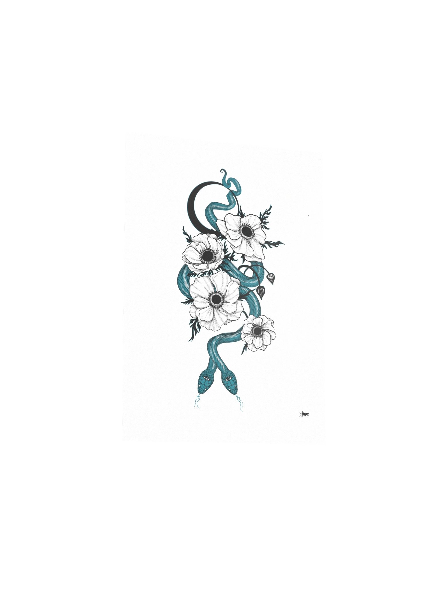 Anemone product image (8)