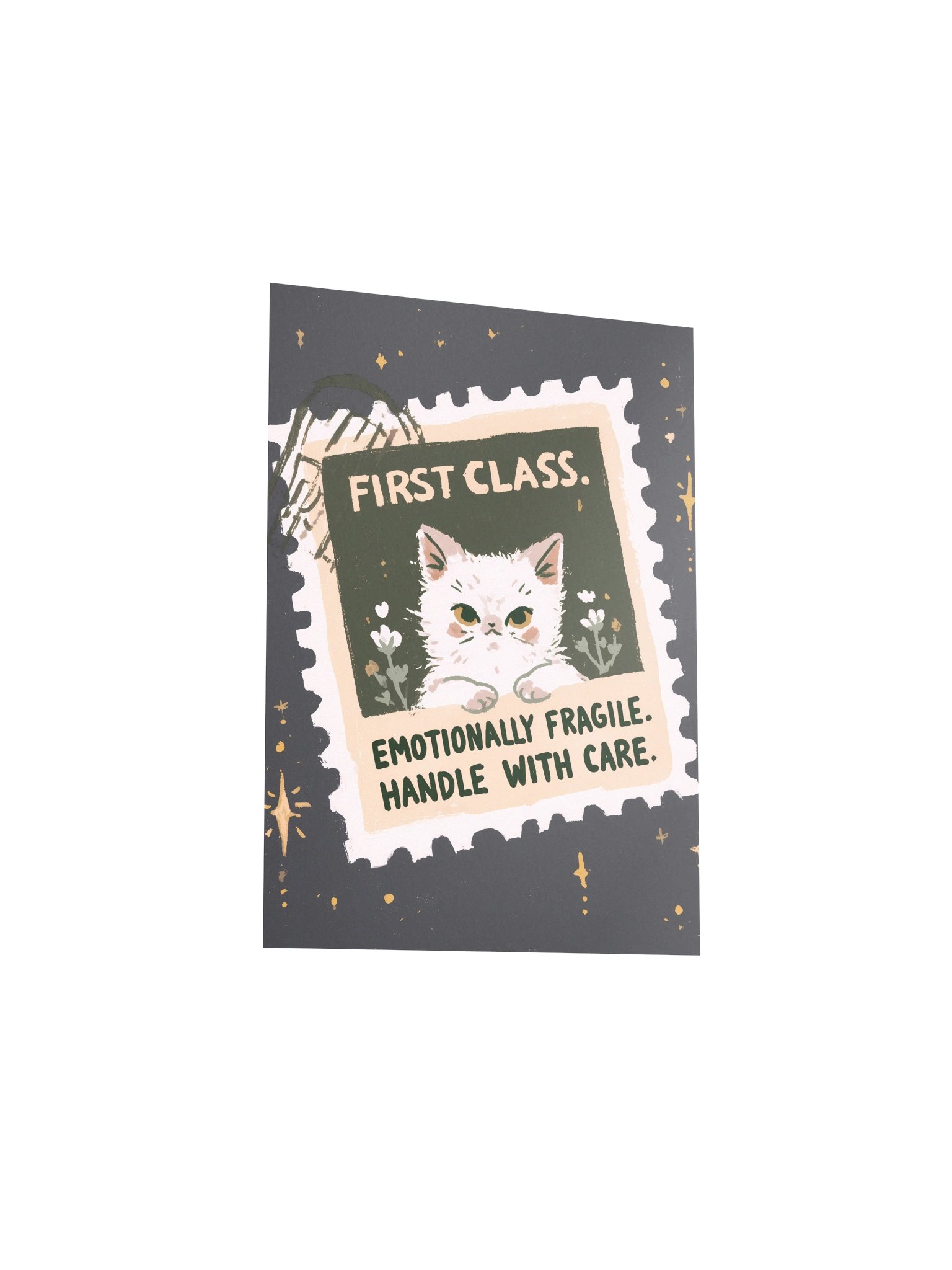 First Class Fragile Cat Poster product image (19)