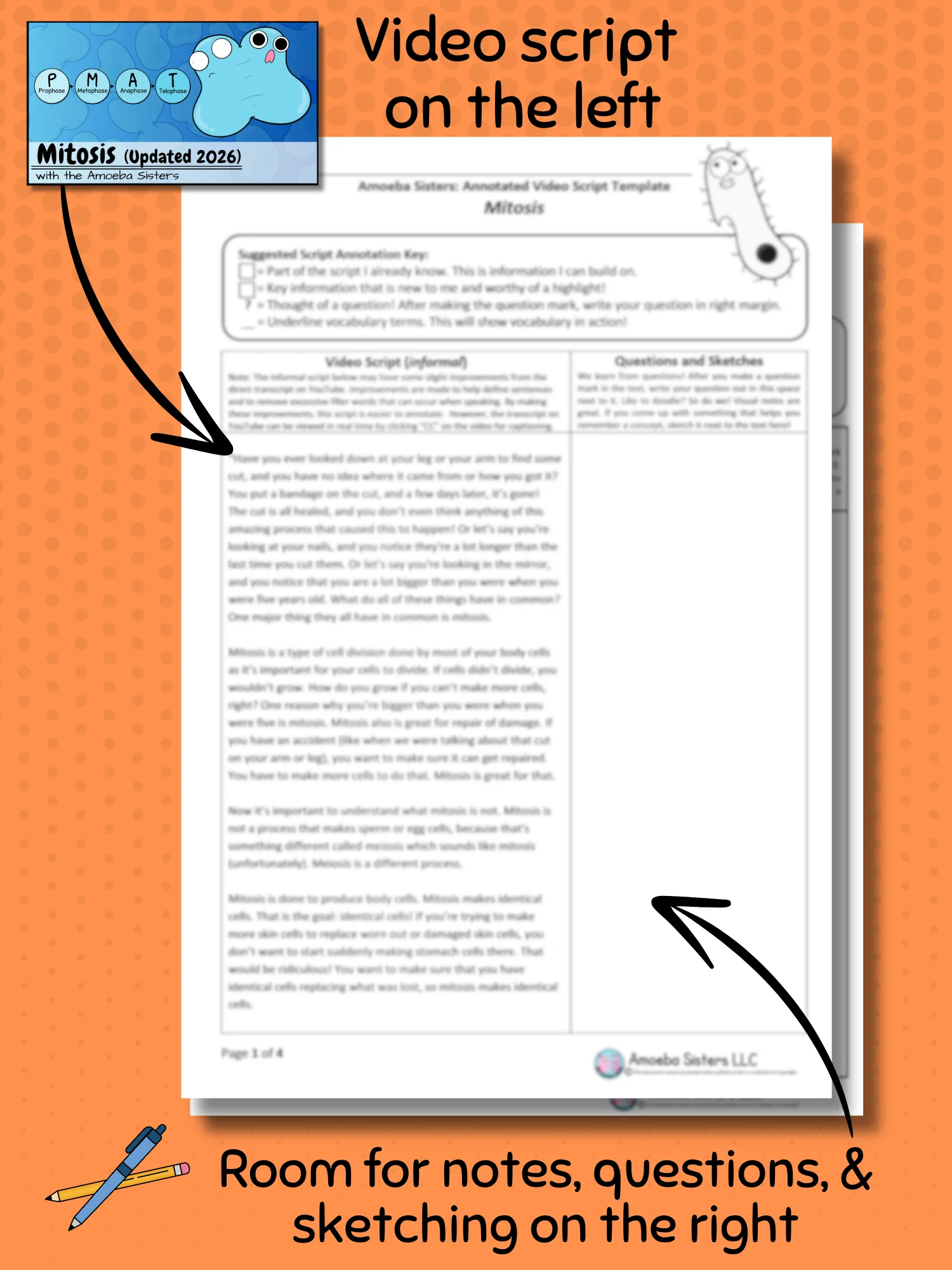 Amoeba Sisters Mitosis Annotated Video Script Template product image (2)