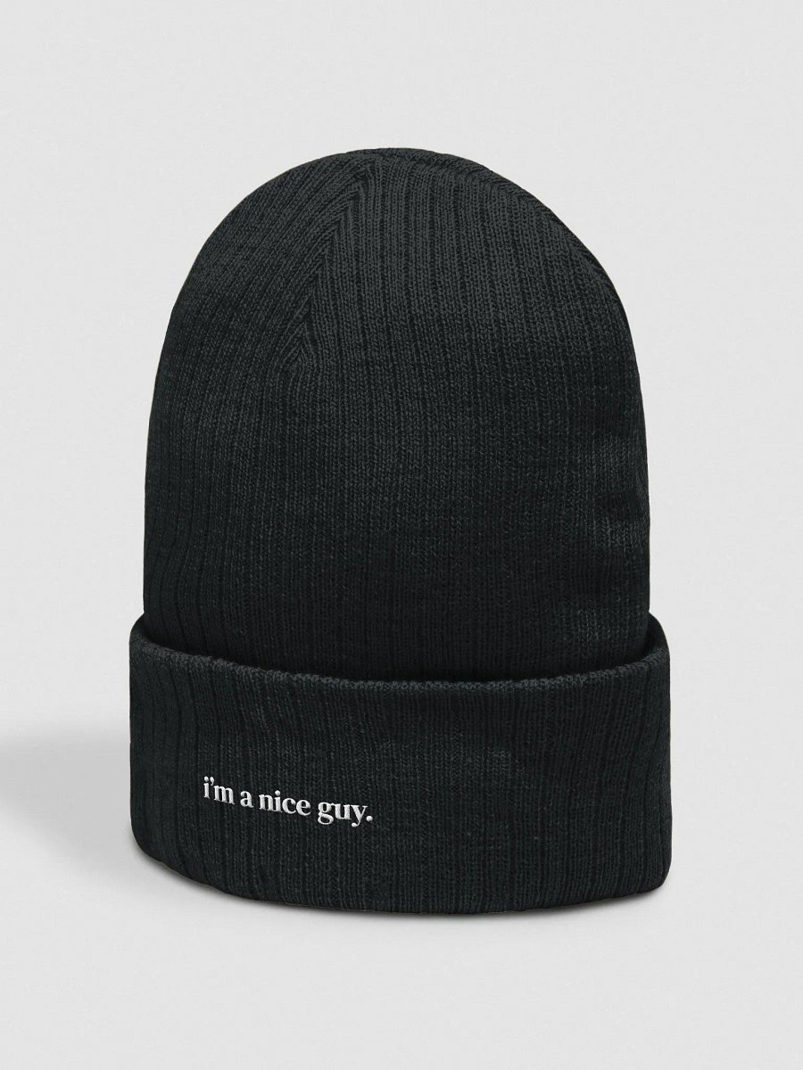 nice guy beanie product image (2)