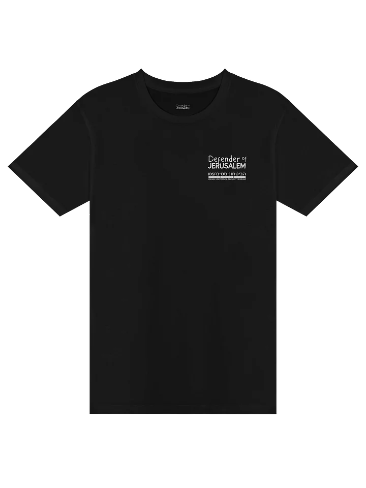 Defender of Jerusalem T-Shirt product image (1)
