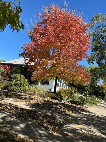 I love #Fall