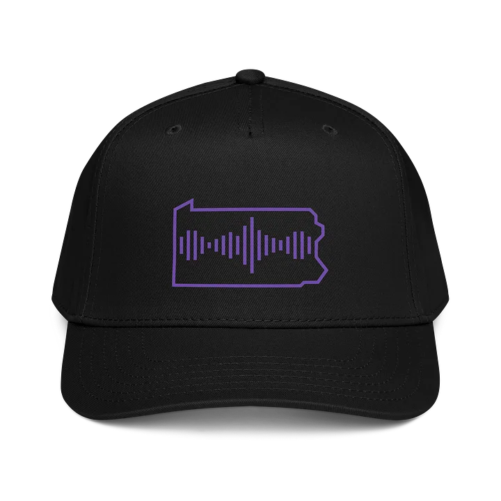 StreamPA Snapback product image (1)