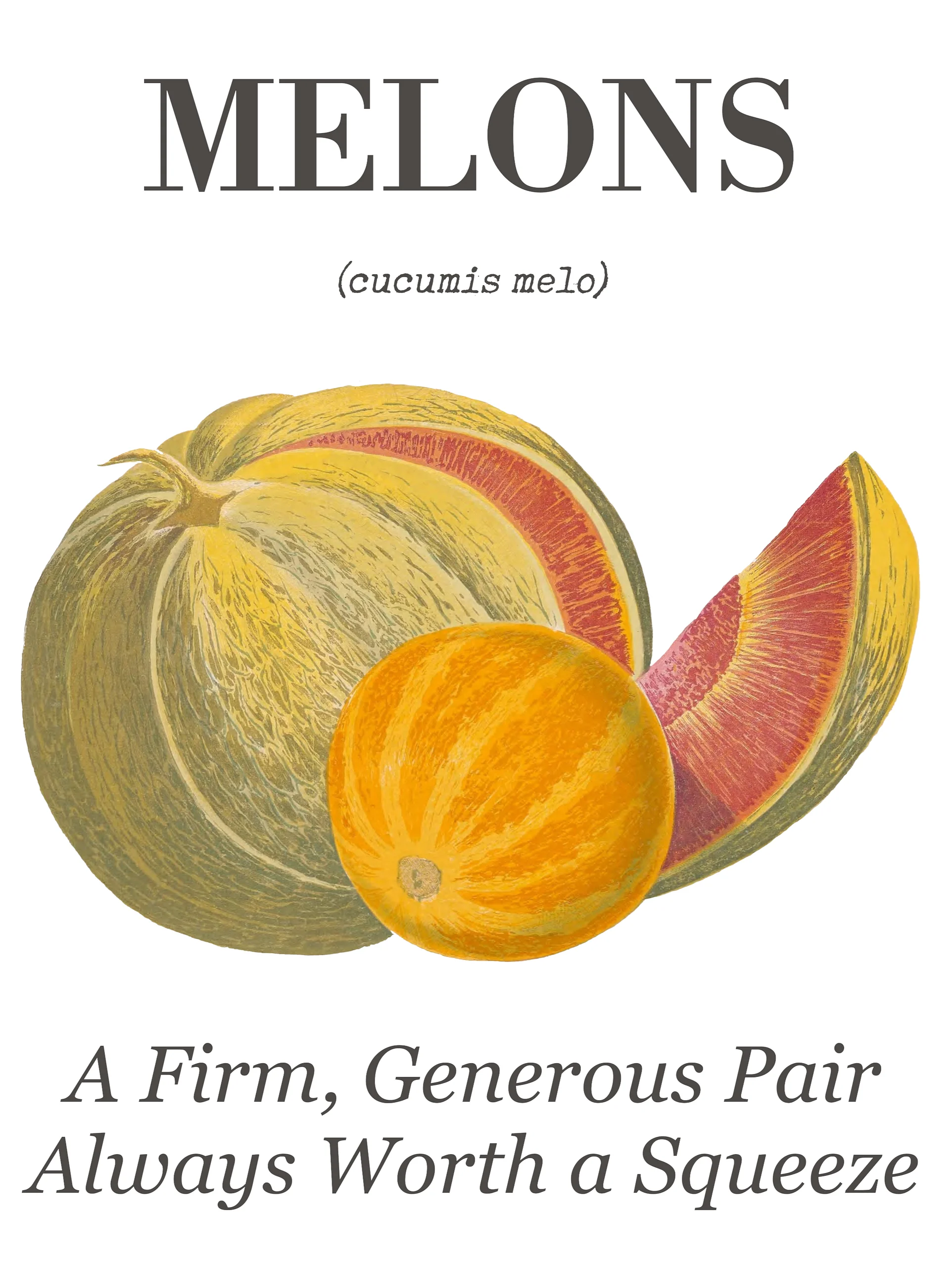 The "Melons" Botanical Tea Towel product image (3)