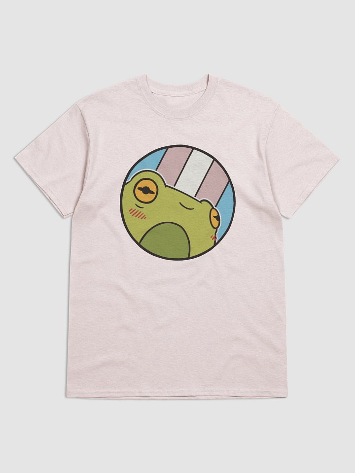 t-shirt : froge transgender product image (1)