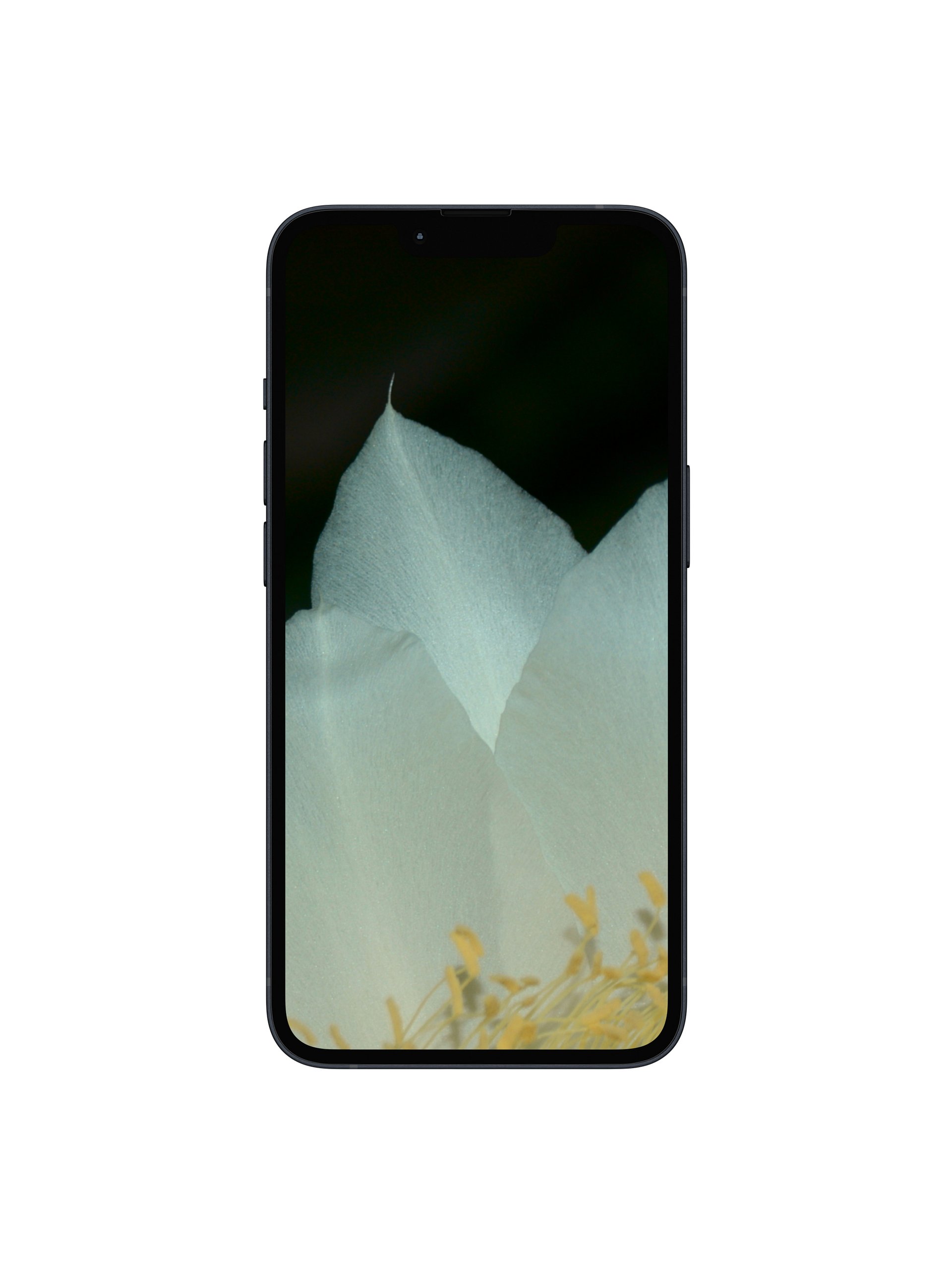 Night-Blooming Cereus Digital Wallpaper Set product image (1)
