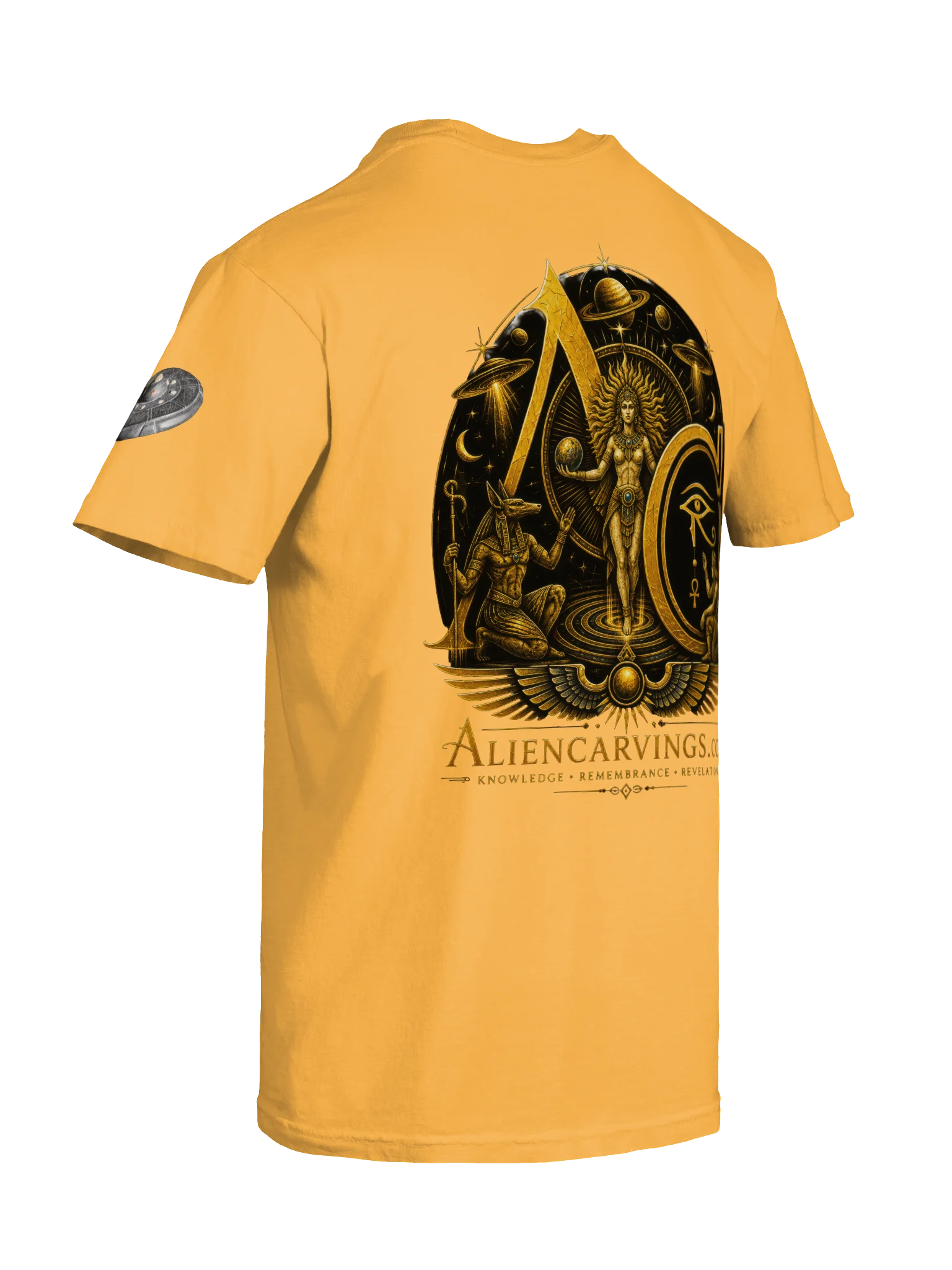 Project Disclosure Premium T-Shirt product image (8)