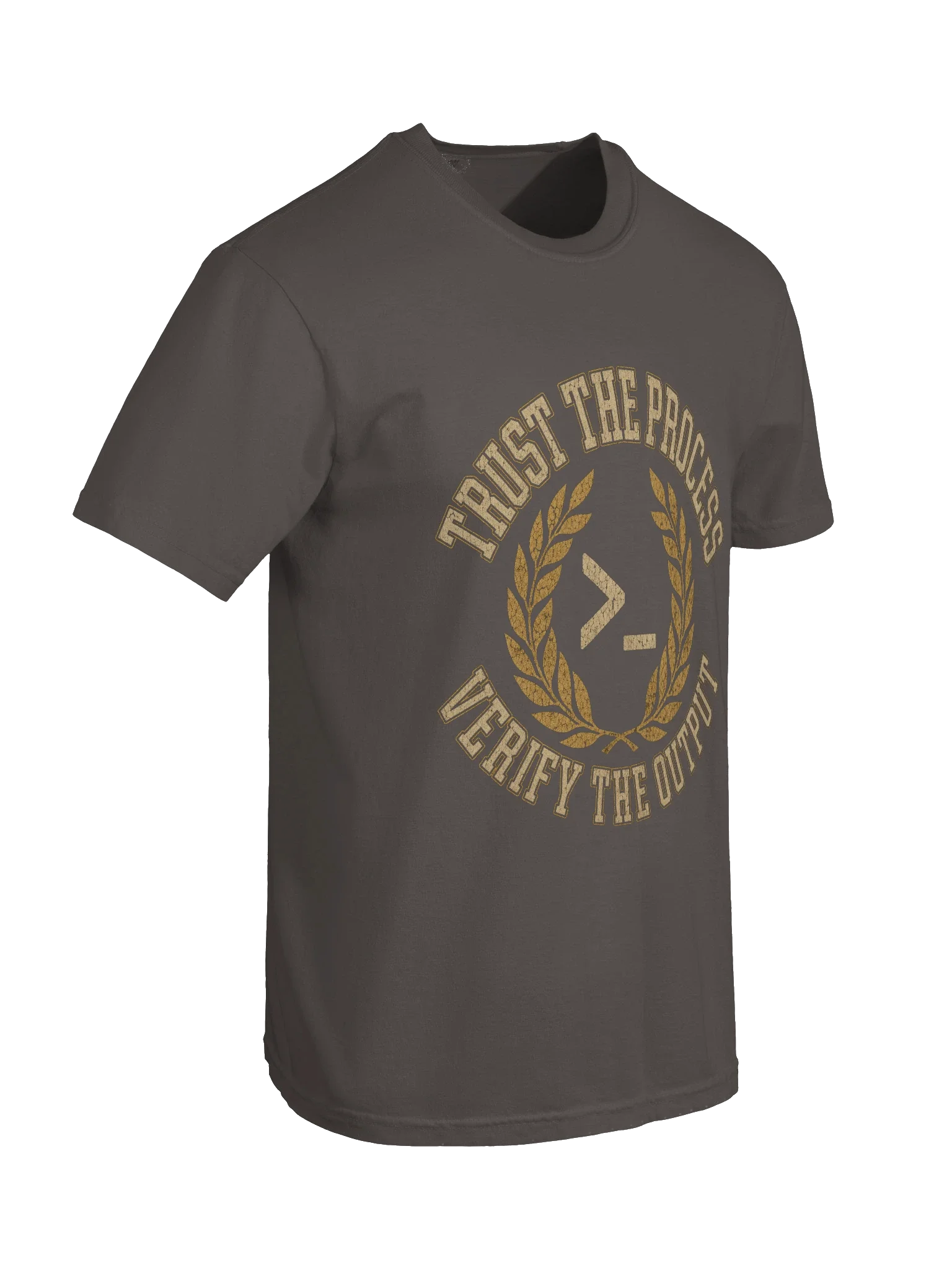 Trust the Process. Verify the Output. Tee — view 14