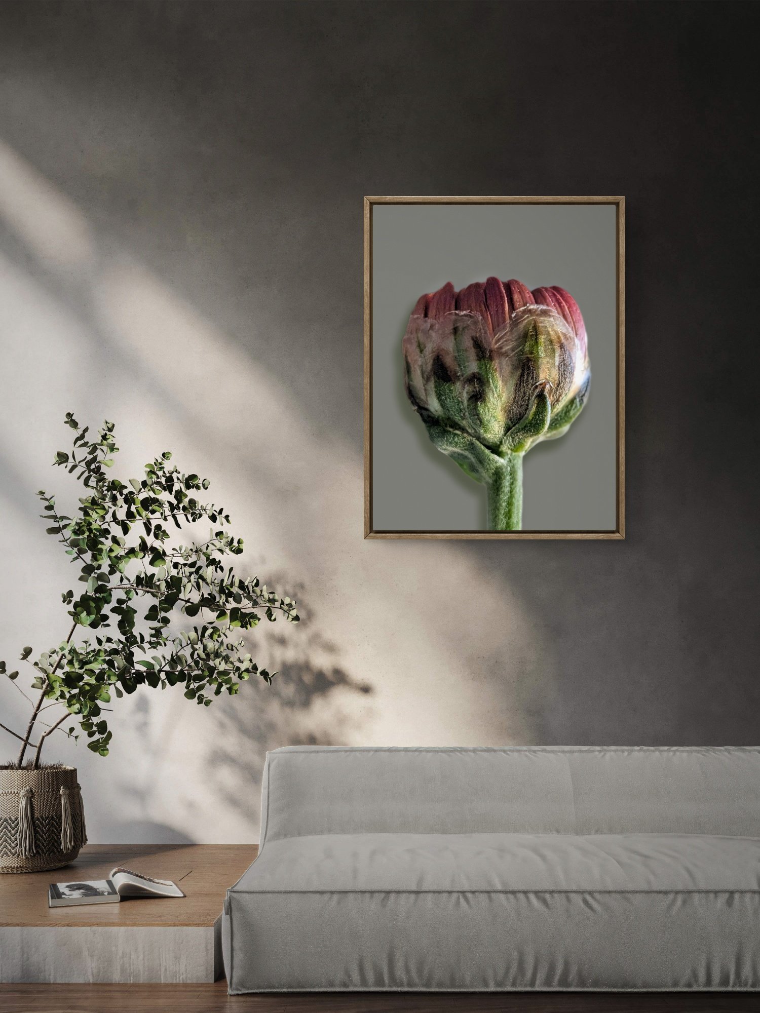 Gerbera Bud Macro Photography Print | Moody Botanical Wall Art | Printable Digital Download product image (5)