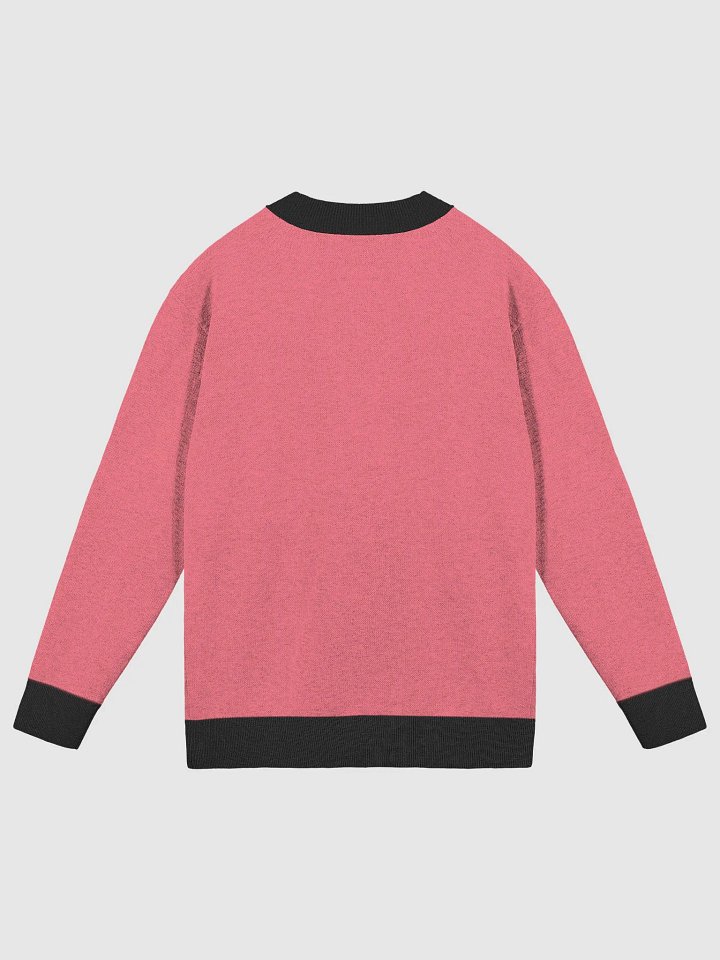 CS Sweater product image (2)