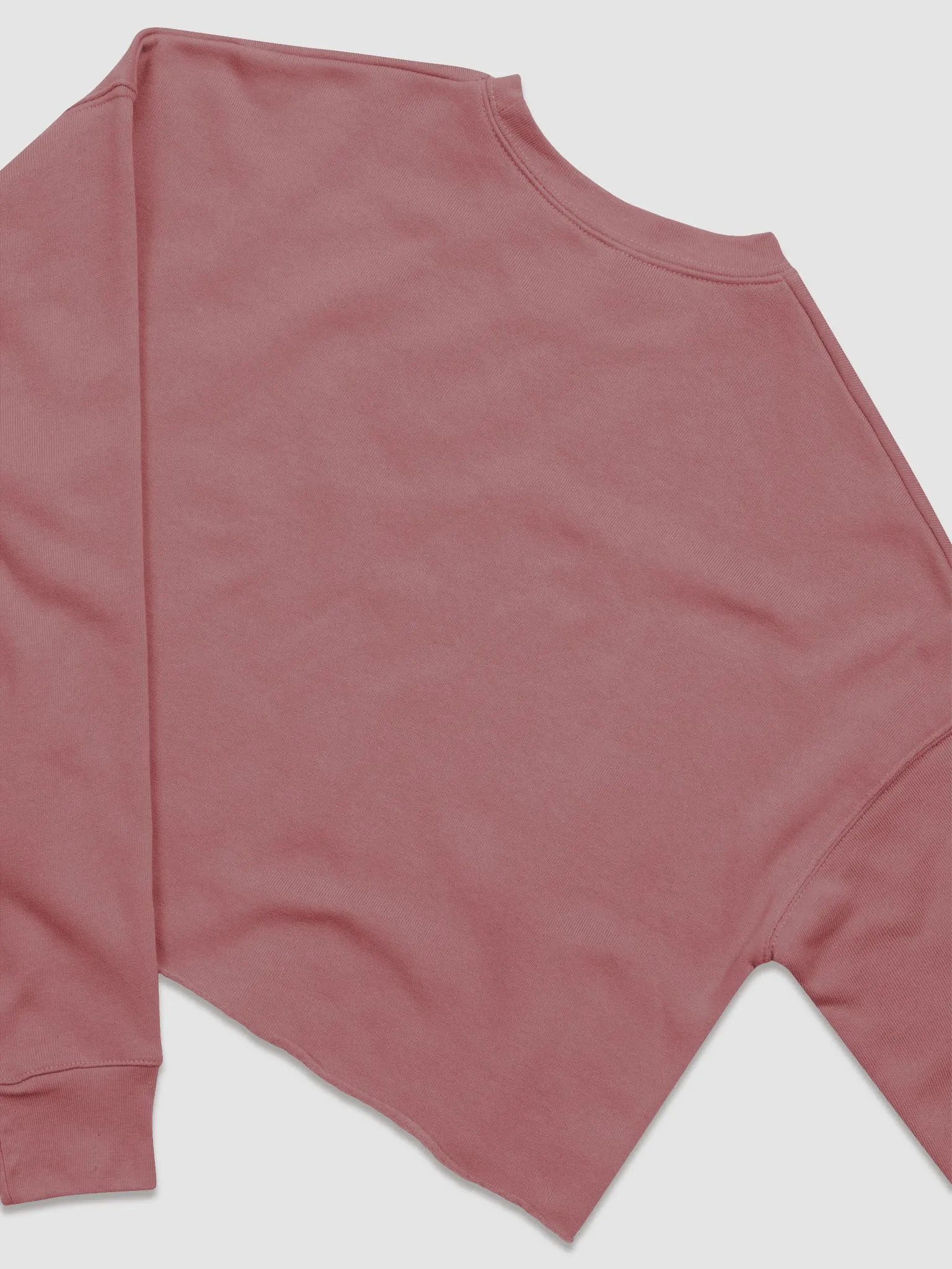 EBM Women's Fleece Crop Sweatshirt (White Logo) product image (30)