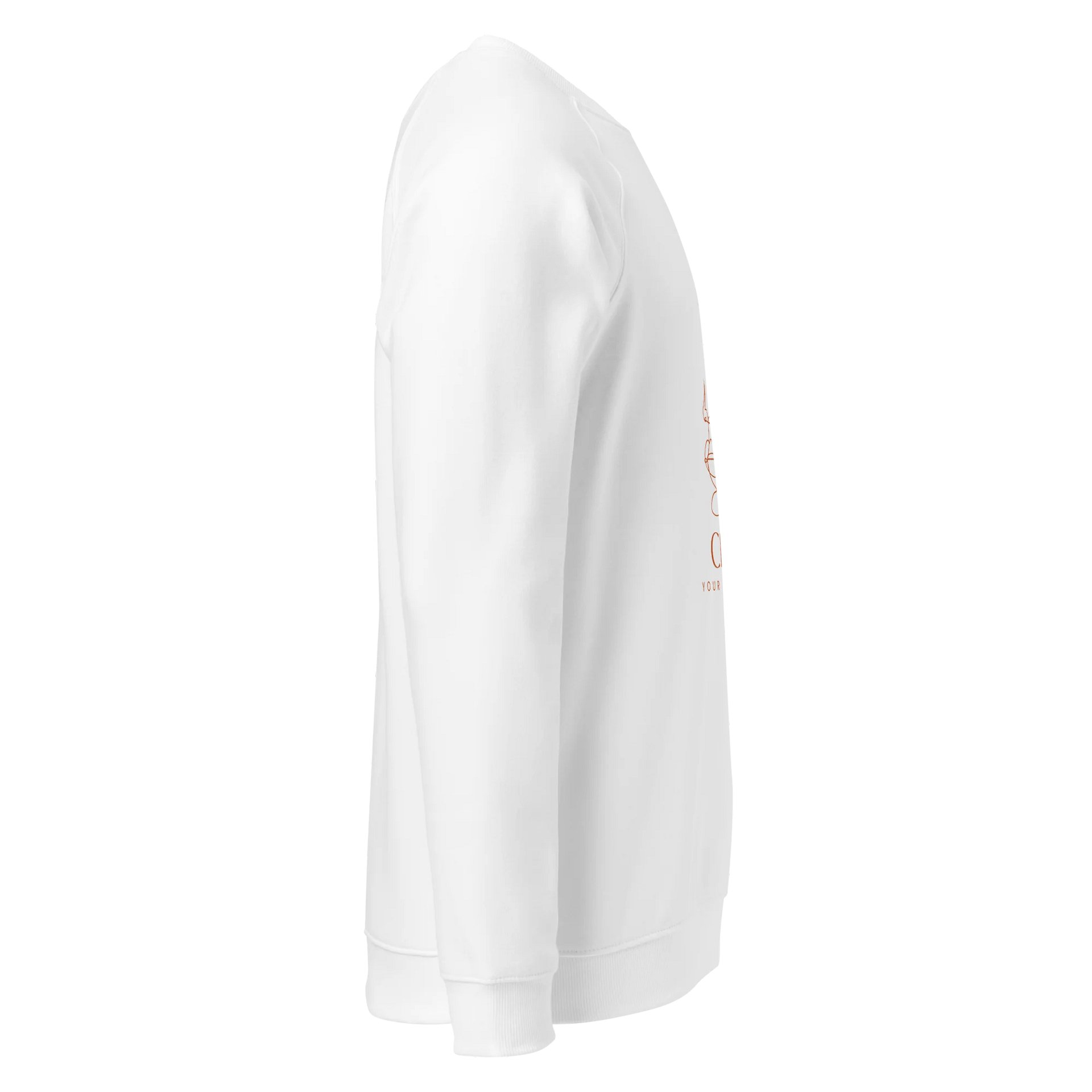Women's Organic Raglan Sweatshirt ORFB0113 product image (3)