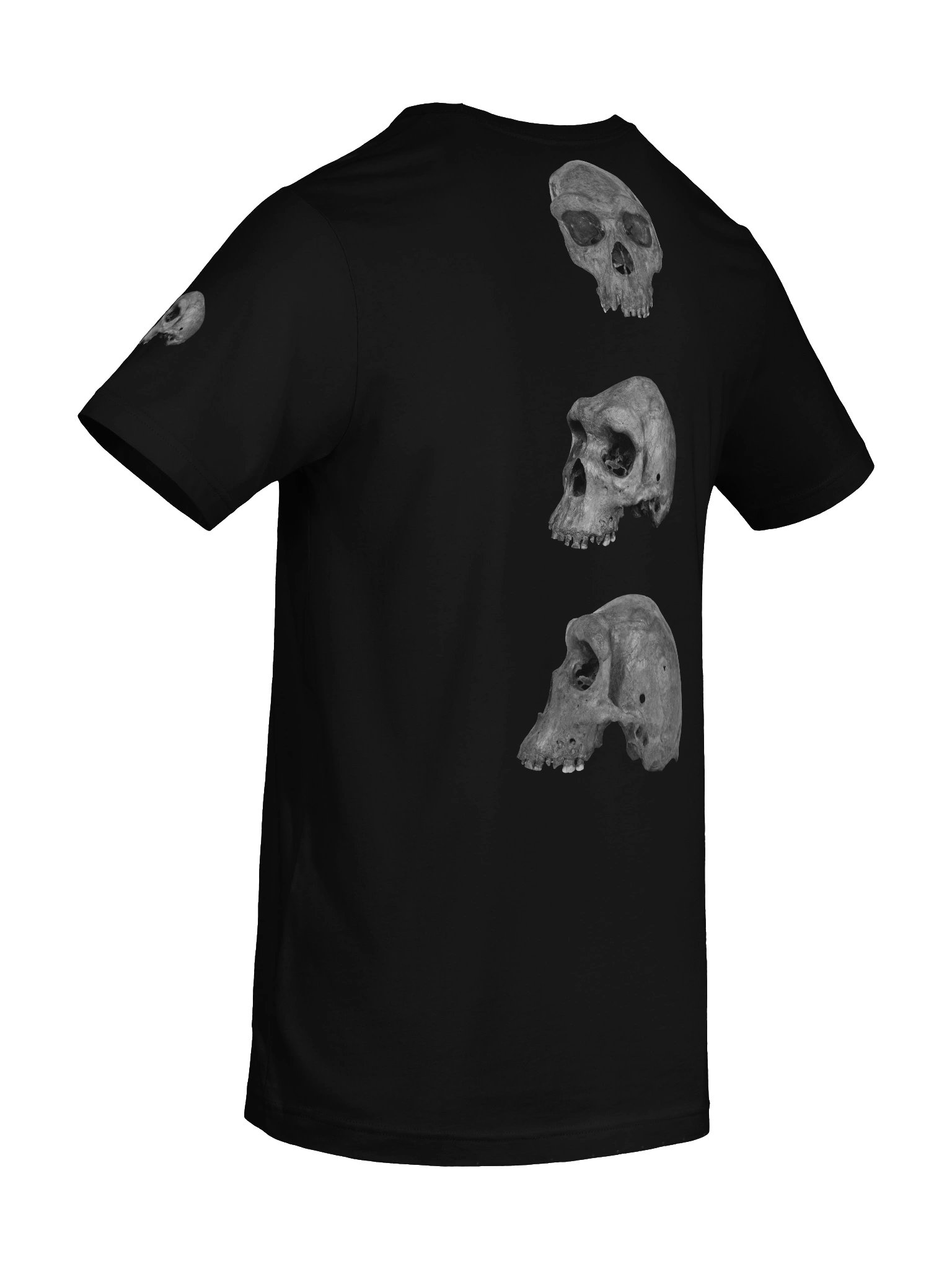 Heidelbergensis Fossil Skull T-Shirt Dark product image (50)