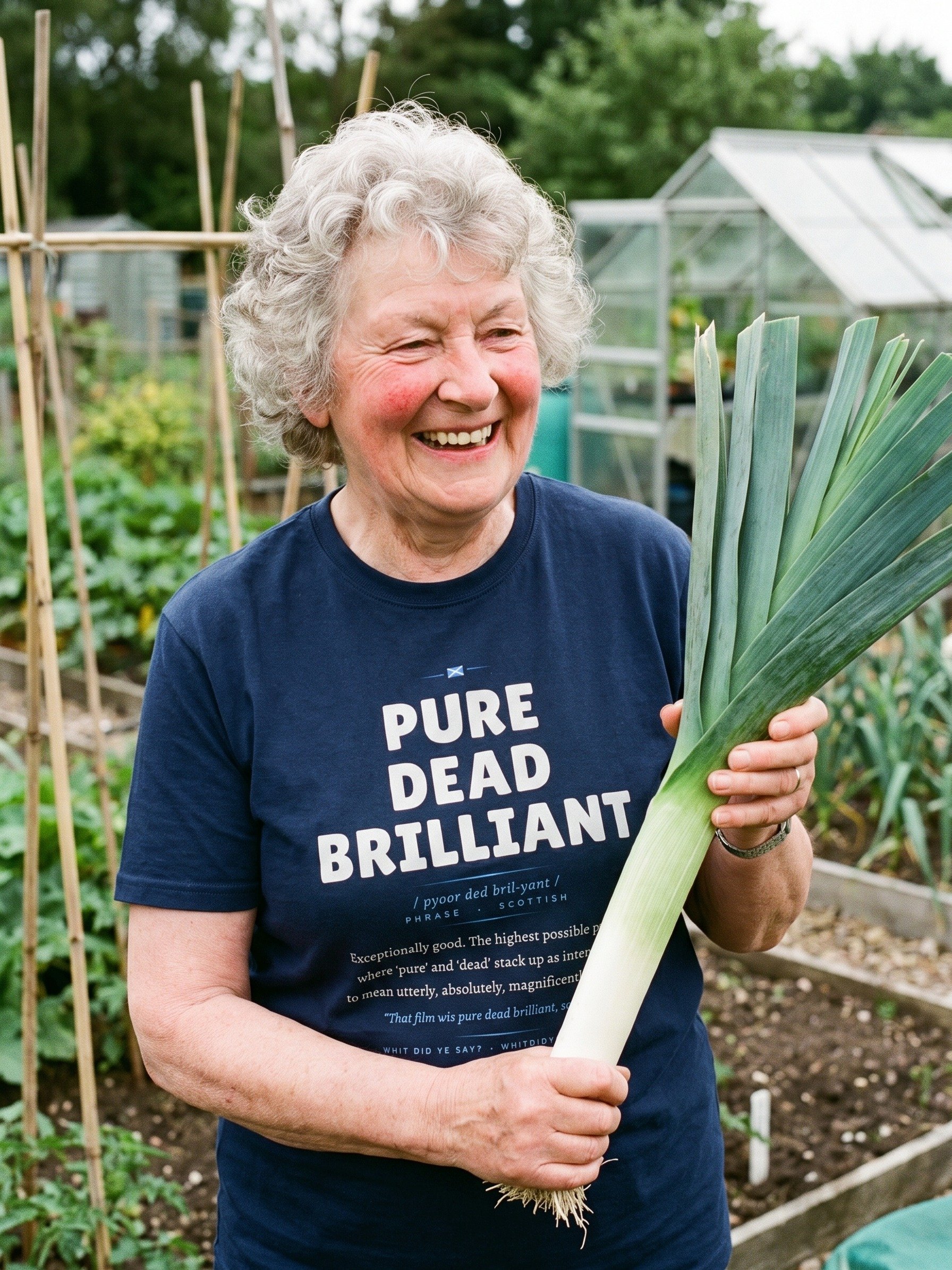 PURE DEAD BRILLIANT — The Dictionary Definition Tee product image (1)