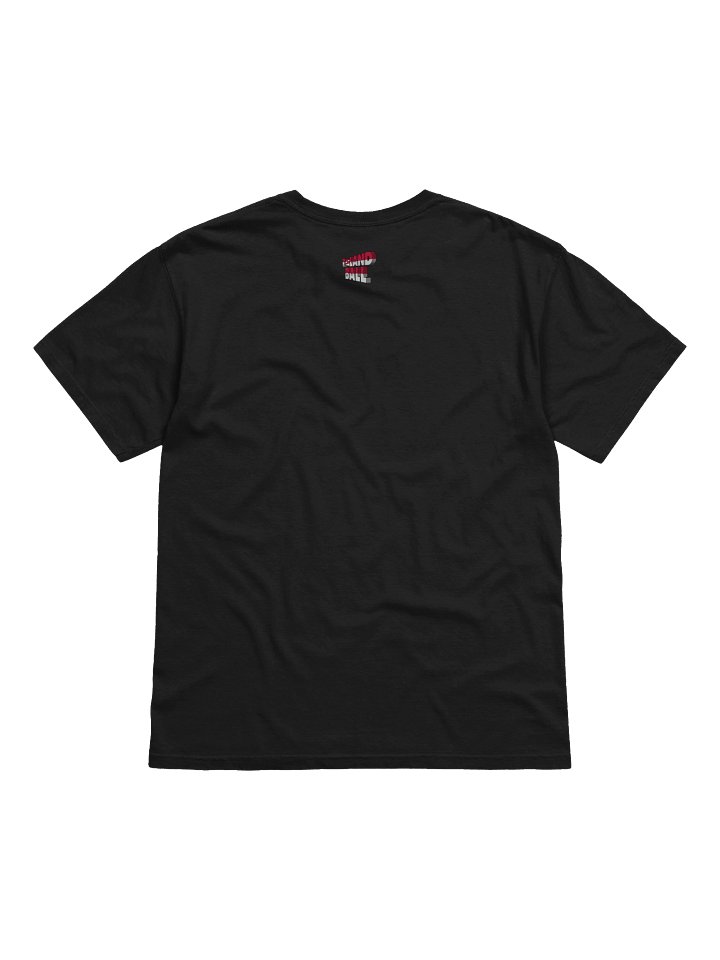 Polandball Official Association T-shirt - Norway product image (2)