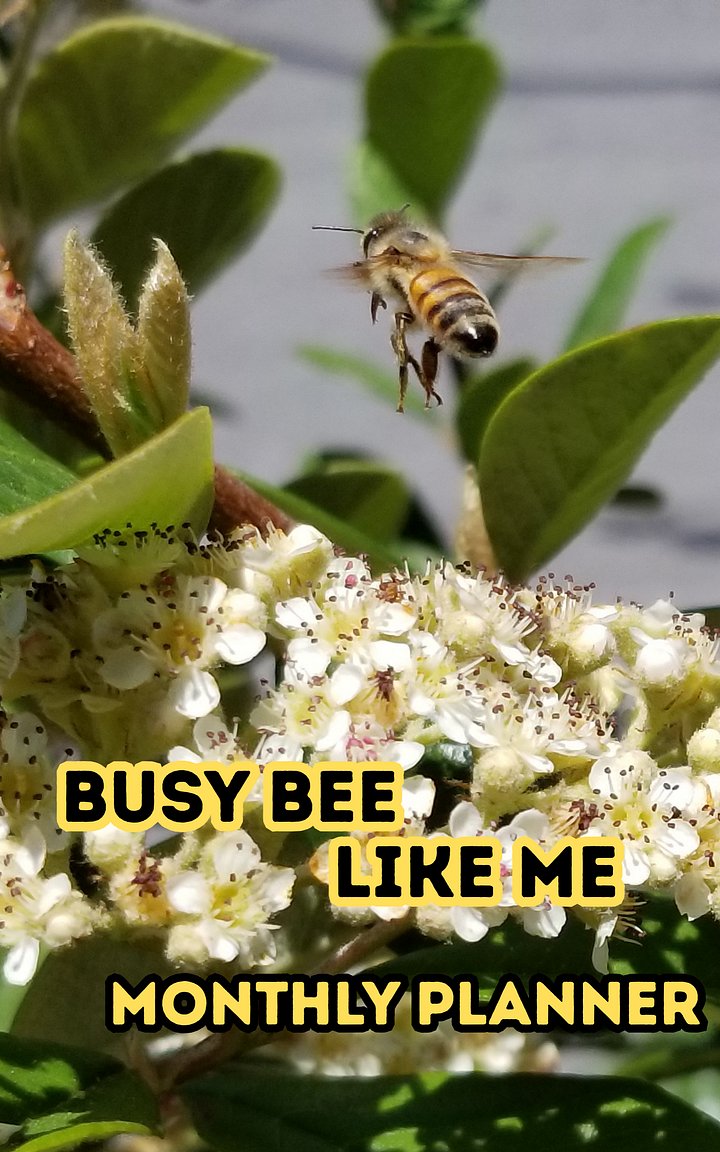 Busy Bee Like Me Monthly Planner product image (1)
