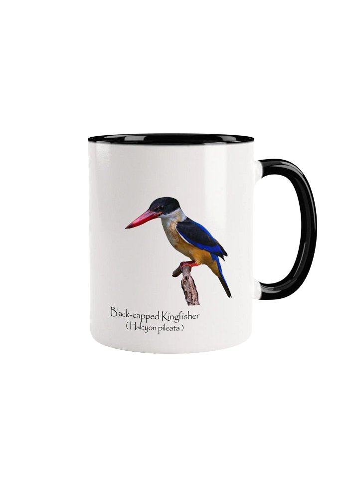 Black-capped Kingfisher mug product image (4)