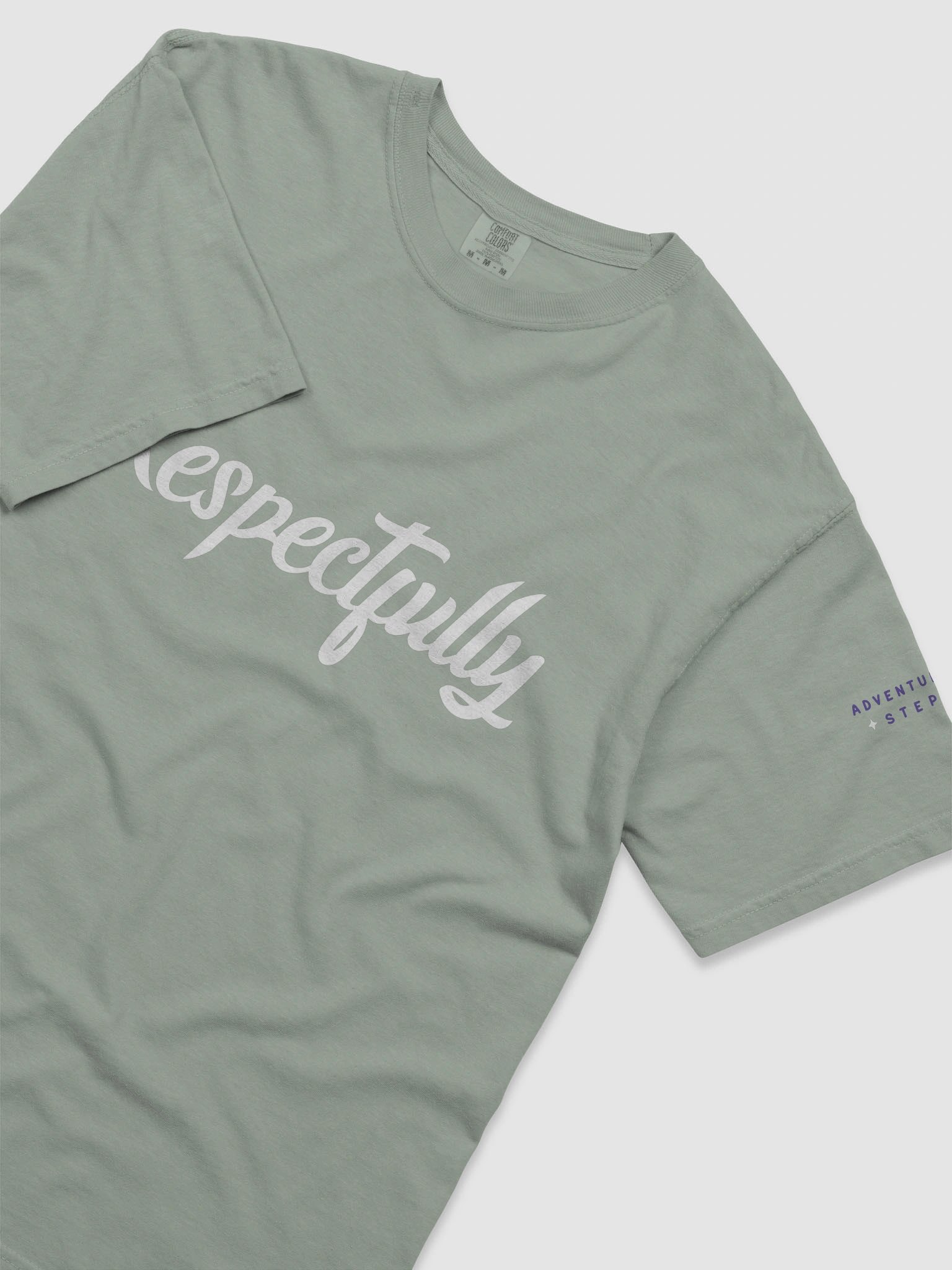 Respectfully Comfort Colors Tee product image (63)