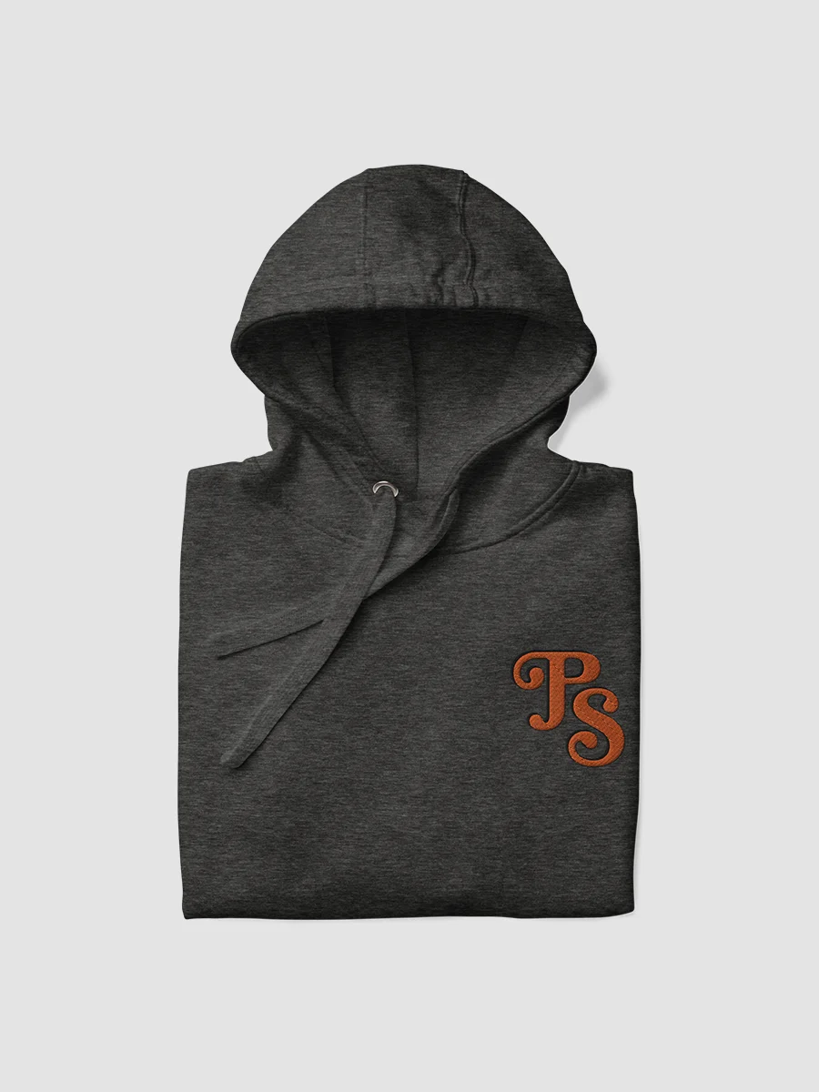 Popular Science Retro Logo Embroidered Hoodie product image (6)