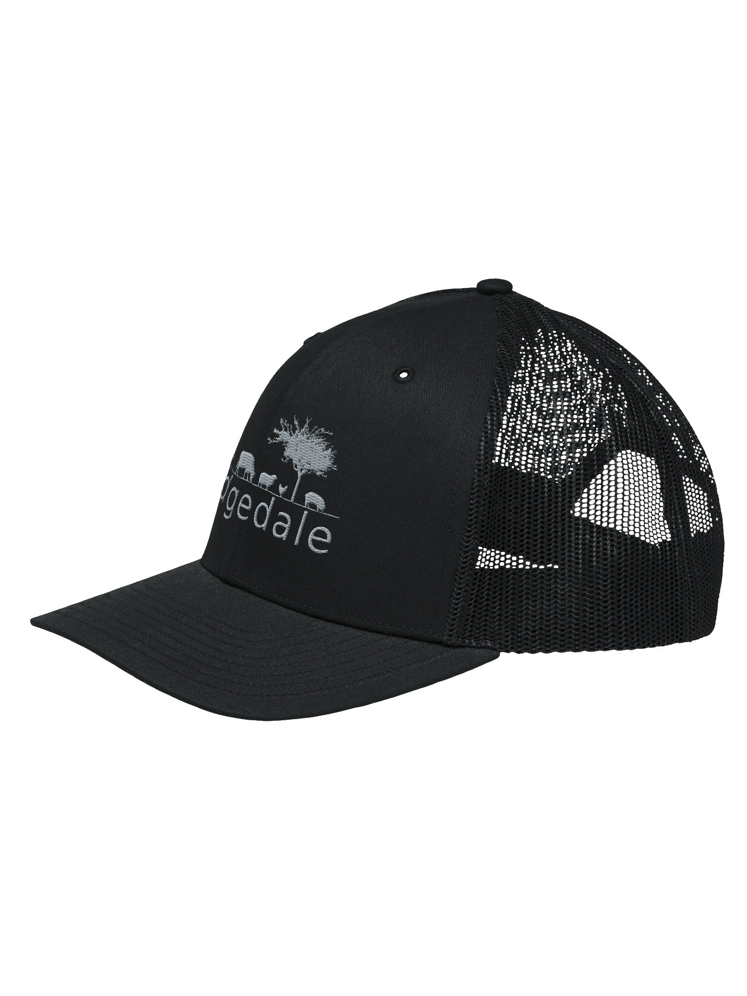 Ridgedale Cap Black product image (2)
