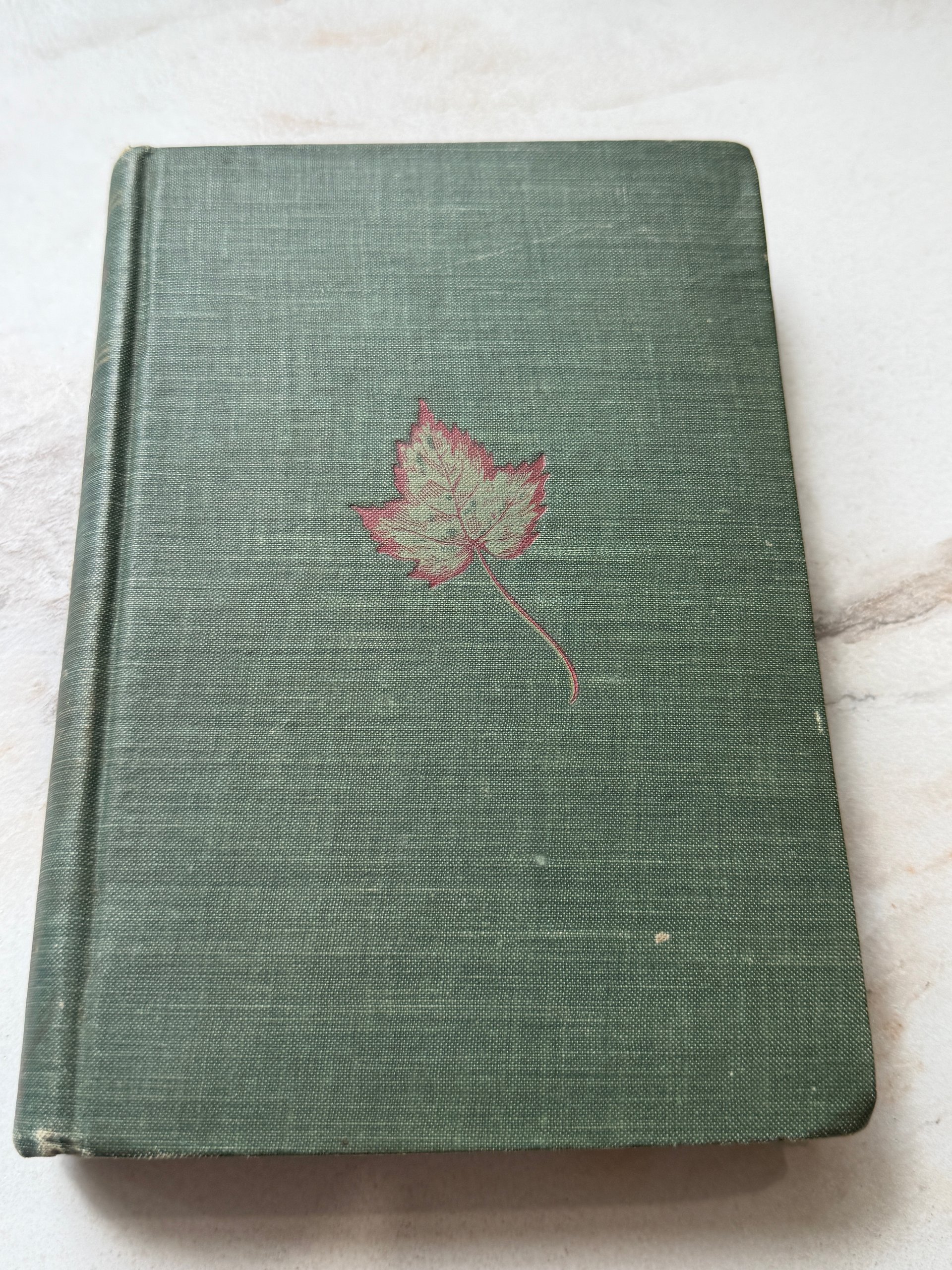 c. 1910’s | Kenilworth | Sir Walter Scott | Antique Illustrated Hardcover product image (2)