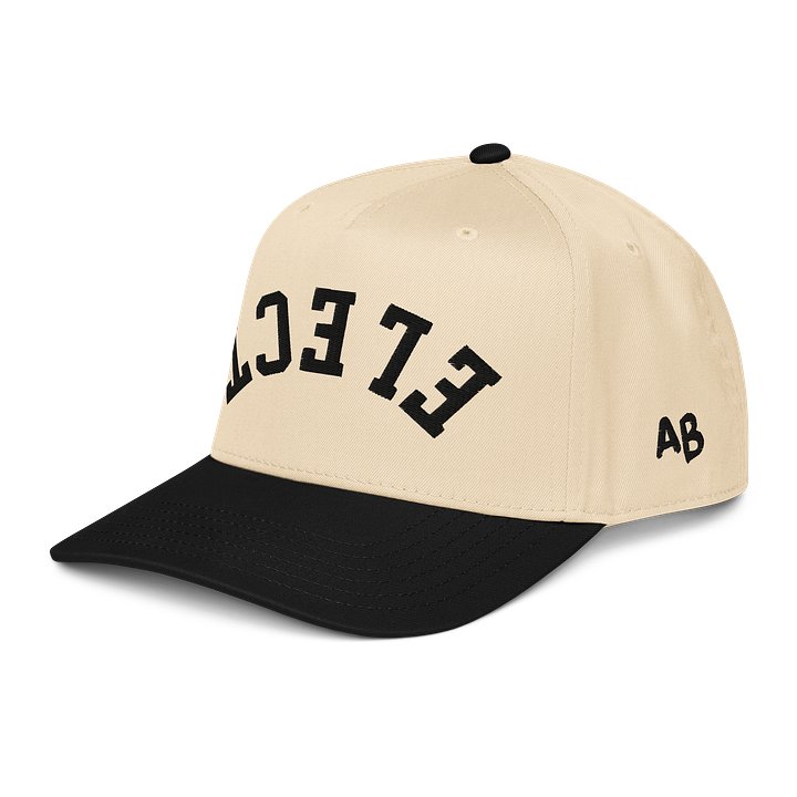 ELECT Hat - Antone Brothers product image (6)
