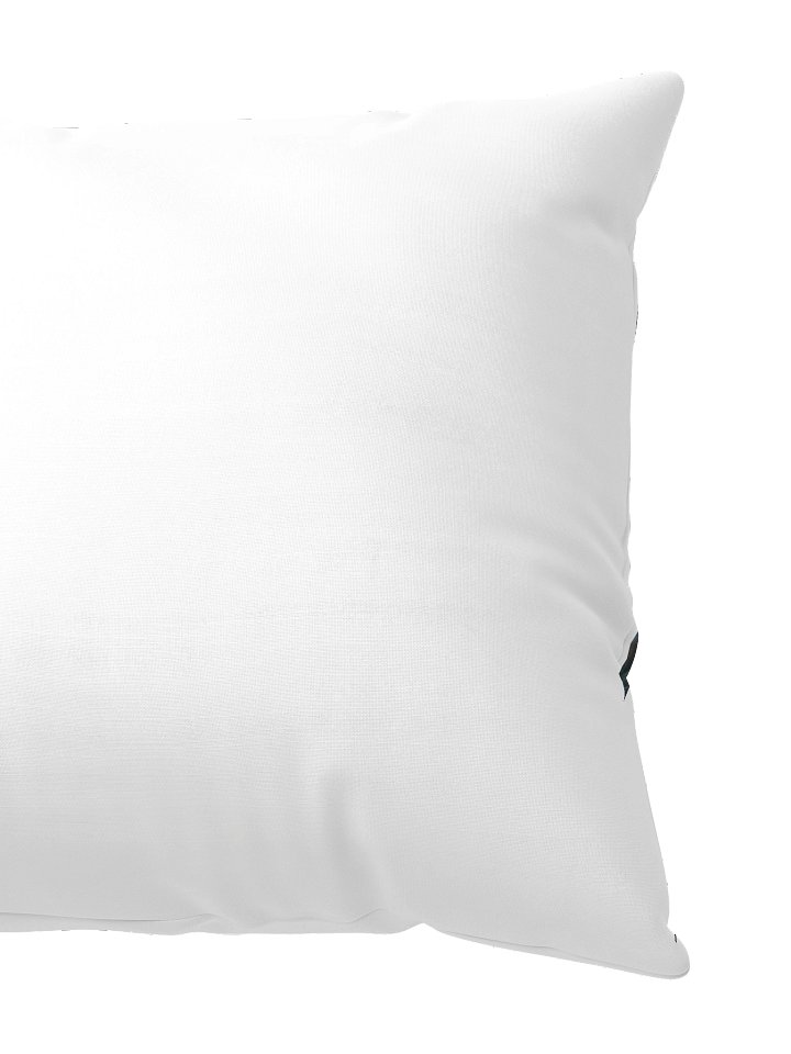 Porter Says Podcast Pillow product image (2)